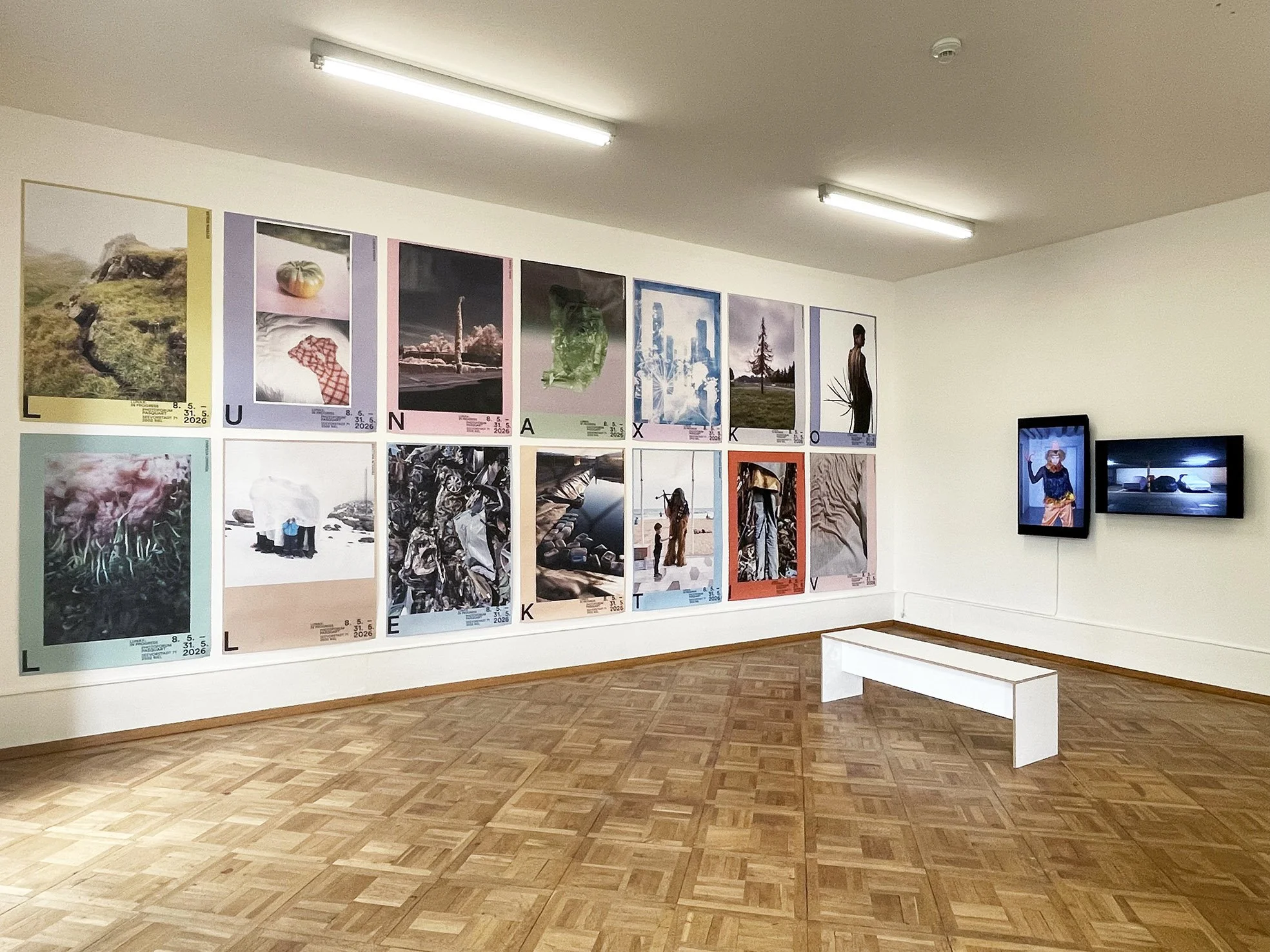  LUNAX: in Progress -  bielerfototage.ch  