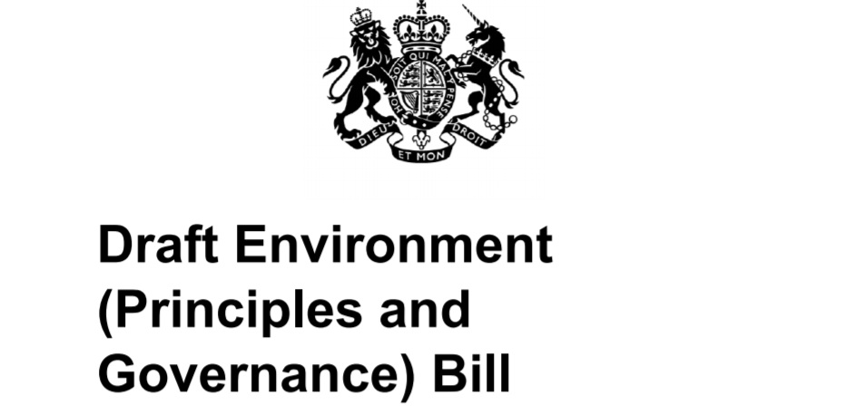 Draft Environment (Principles & Governance) Bill Defra 19 December 2018 Sets out how we will maintain environmental standards as we leave the EU & build on the vision of the 25 YEP.