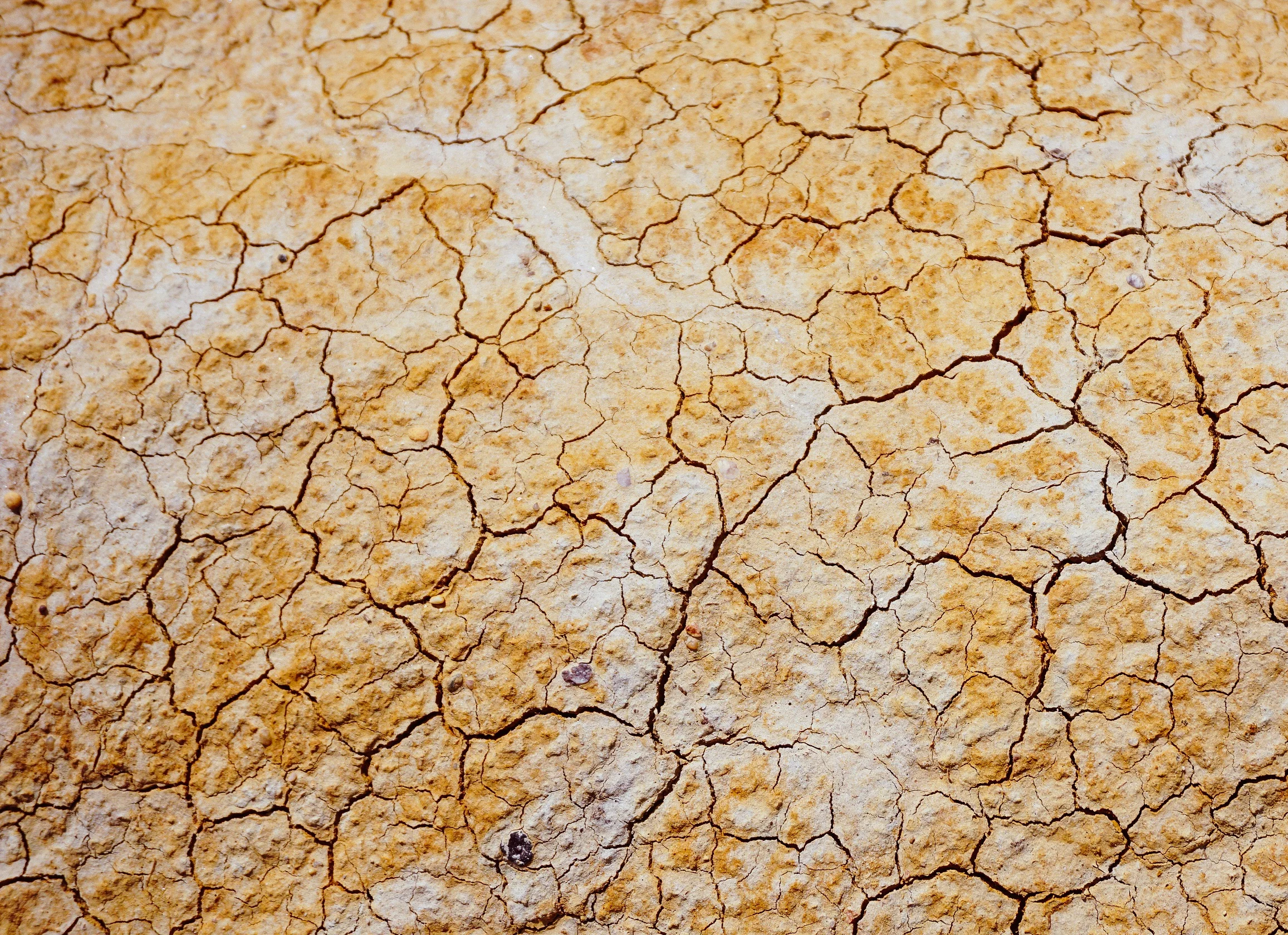 cracked earth 2.jpg