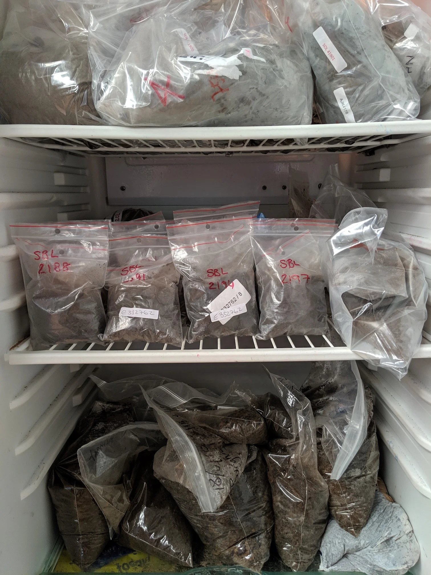 Storage fridge - SoilBioLab.jpg
