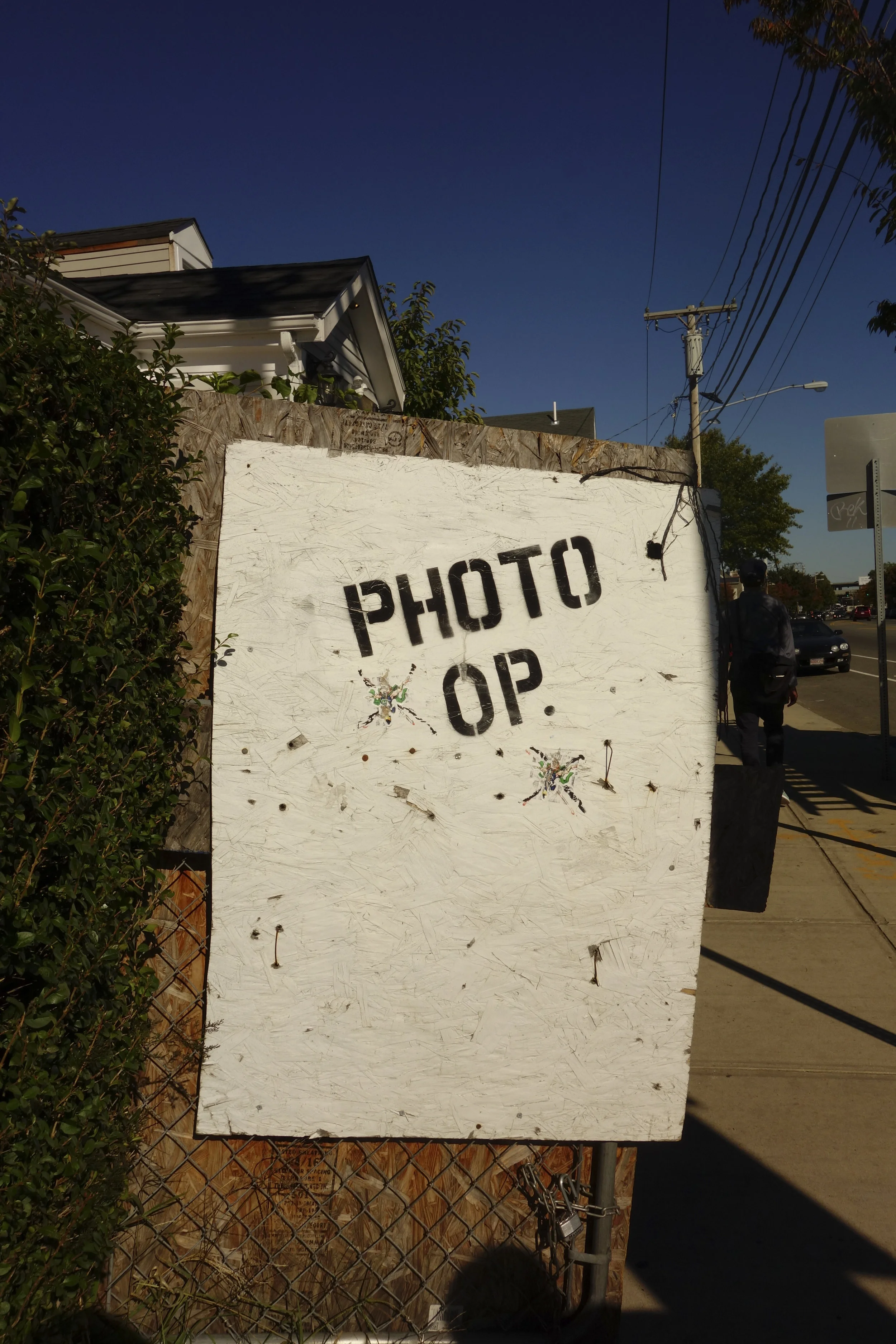 DSC08766.jpg