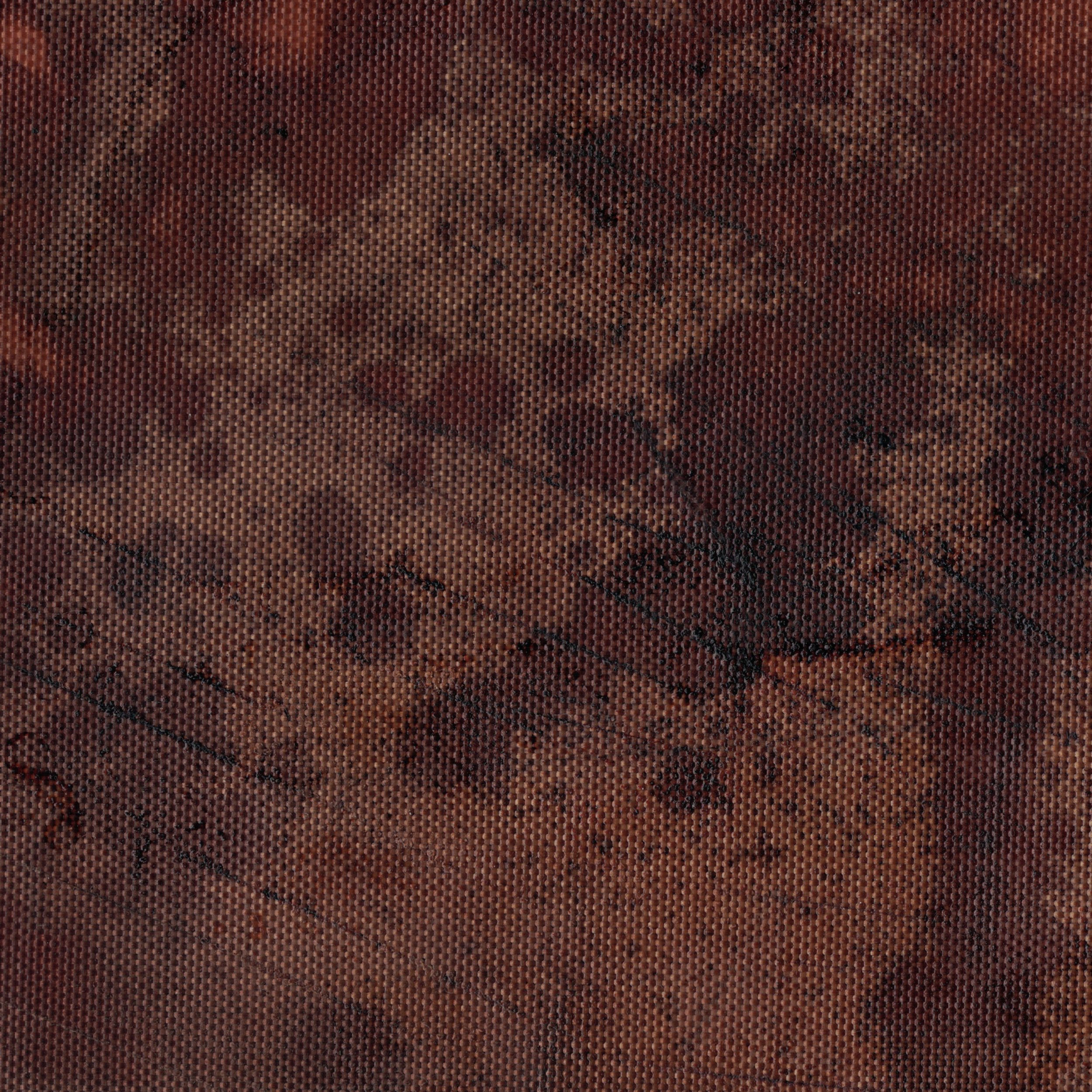 ORDERANRY - ordinary.schizophrenic COVER.jpg