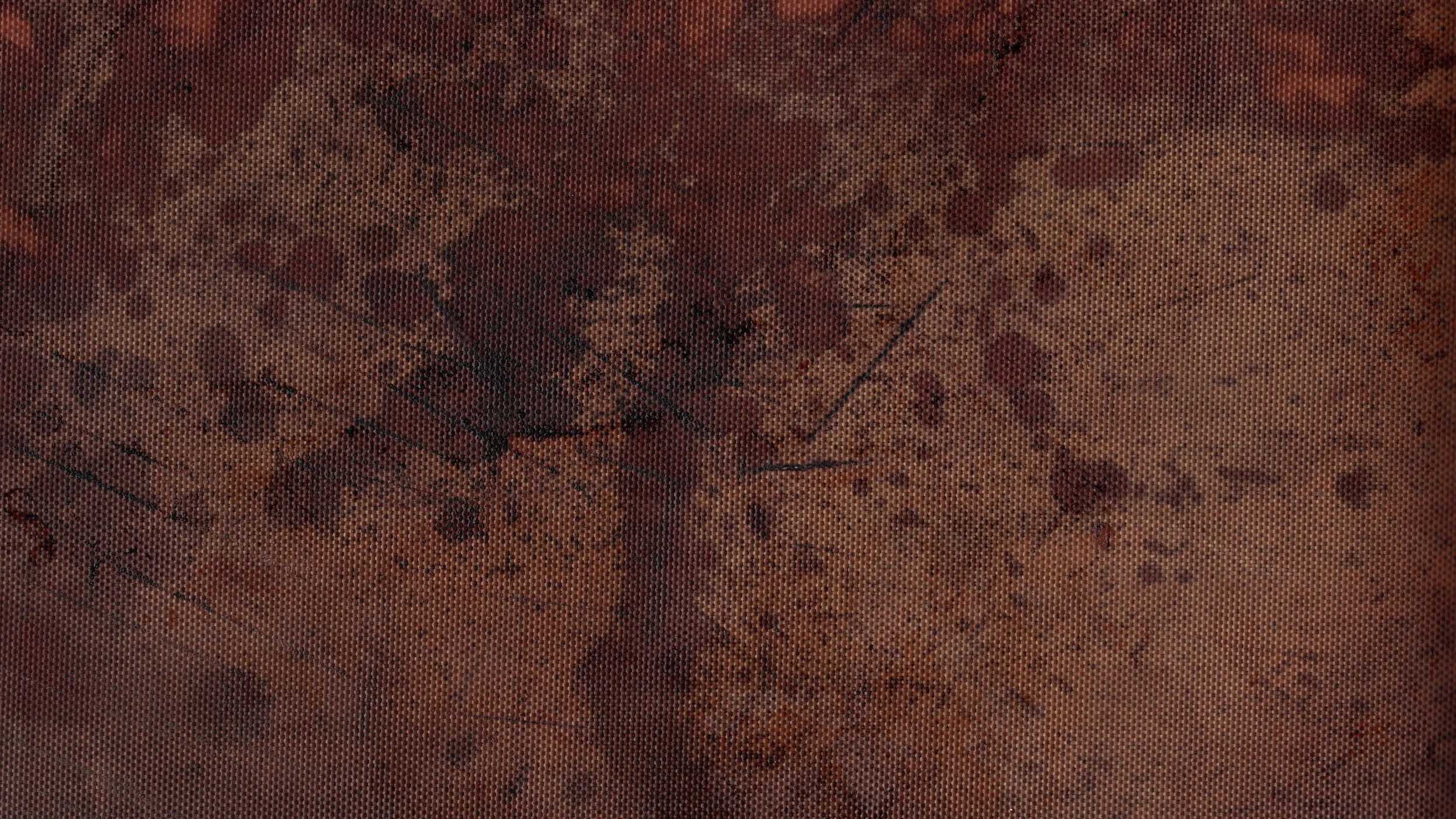 BAKED.series.0010x1.jpg