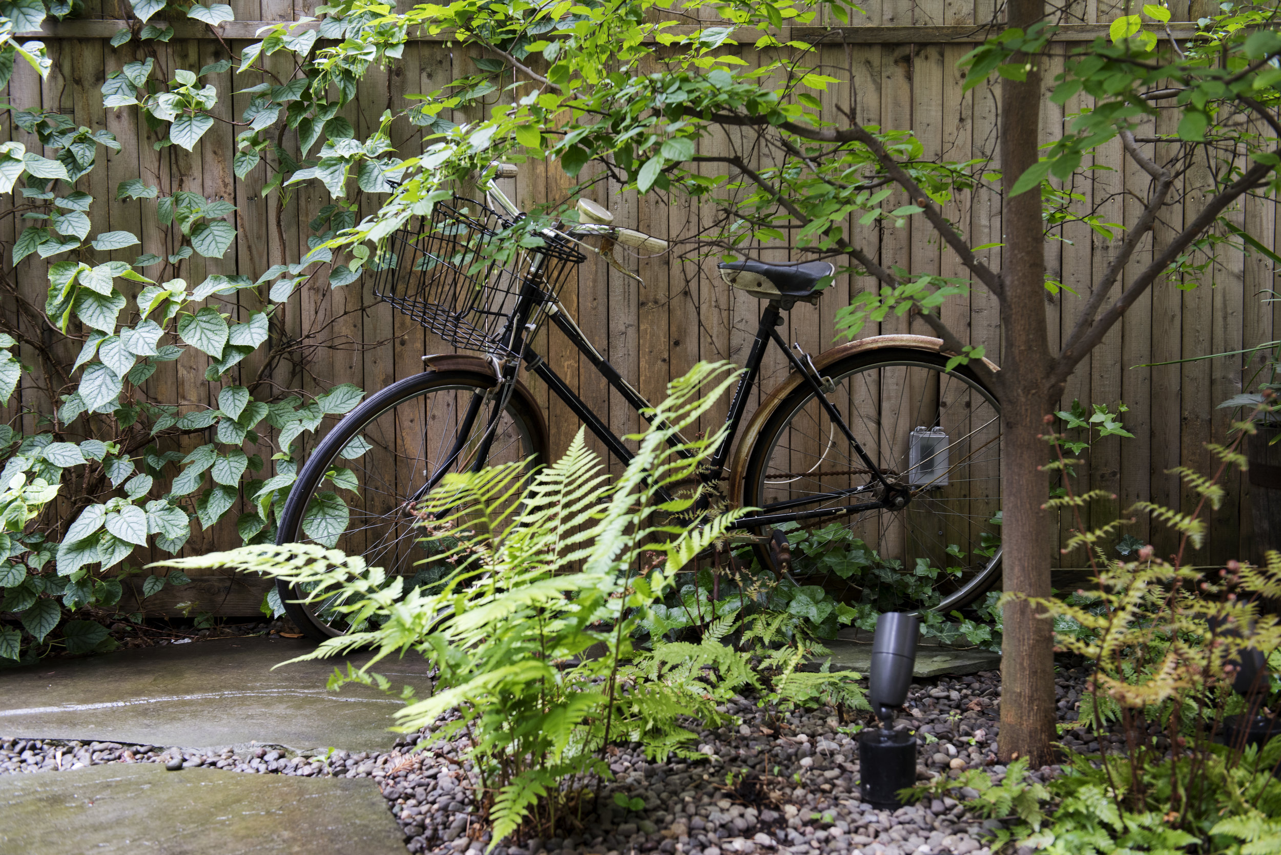 Brook Landscape Gardens Chelsea 23rd