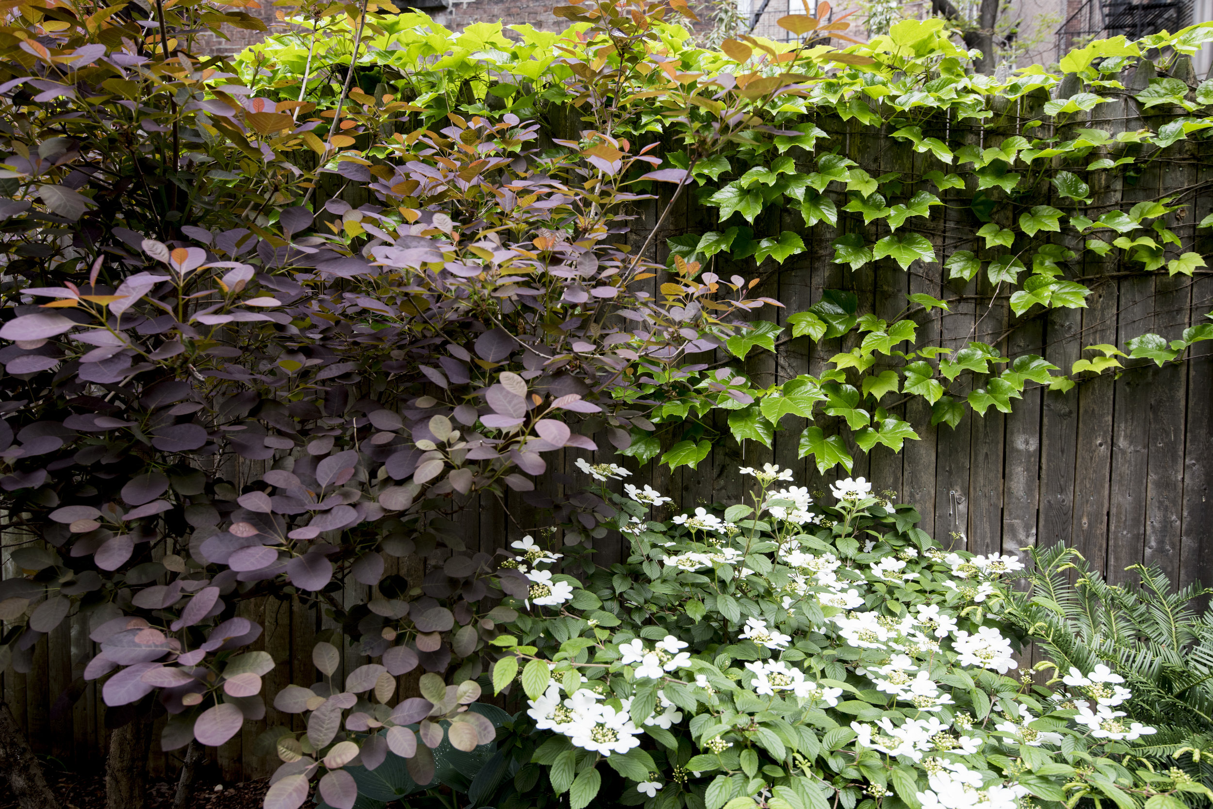 Brook Landscape Gardens Chelsea 23rd