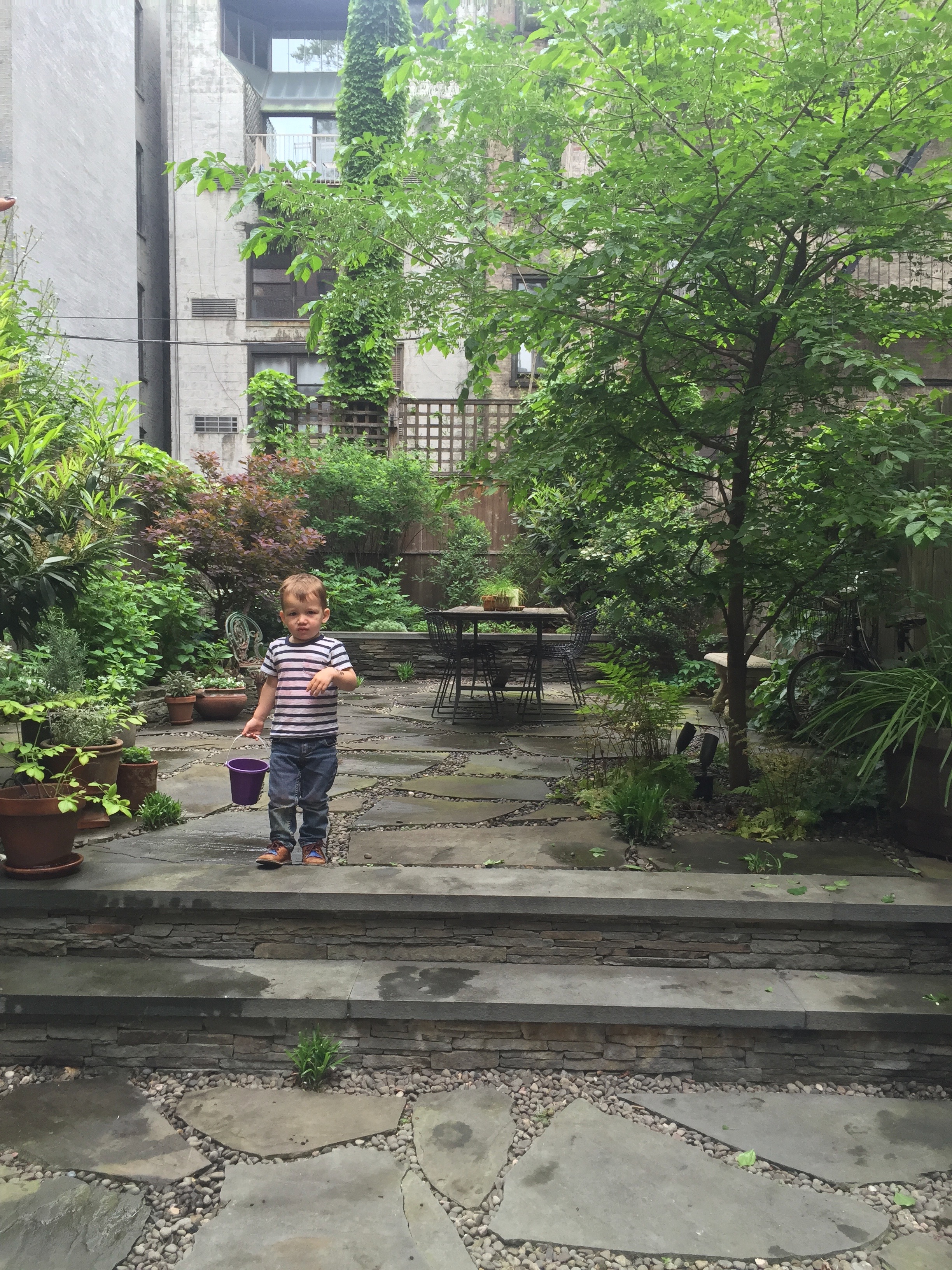 Brook Landscape Gardens Chelsea 23rd