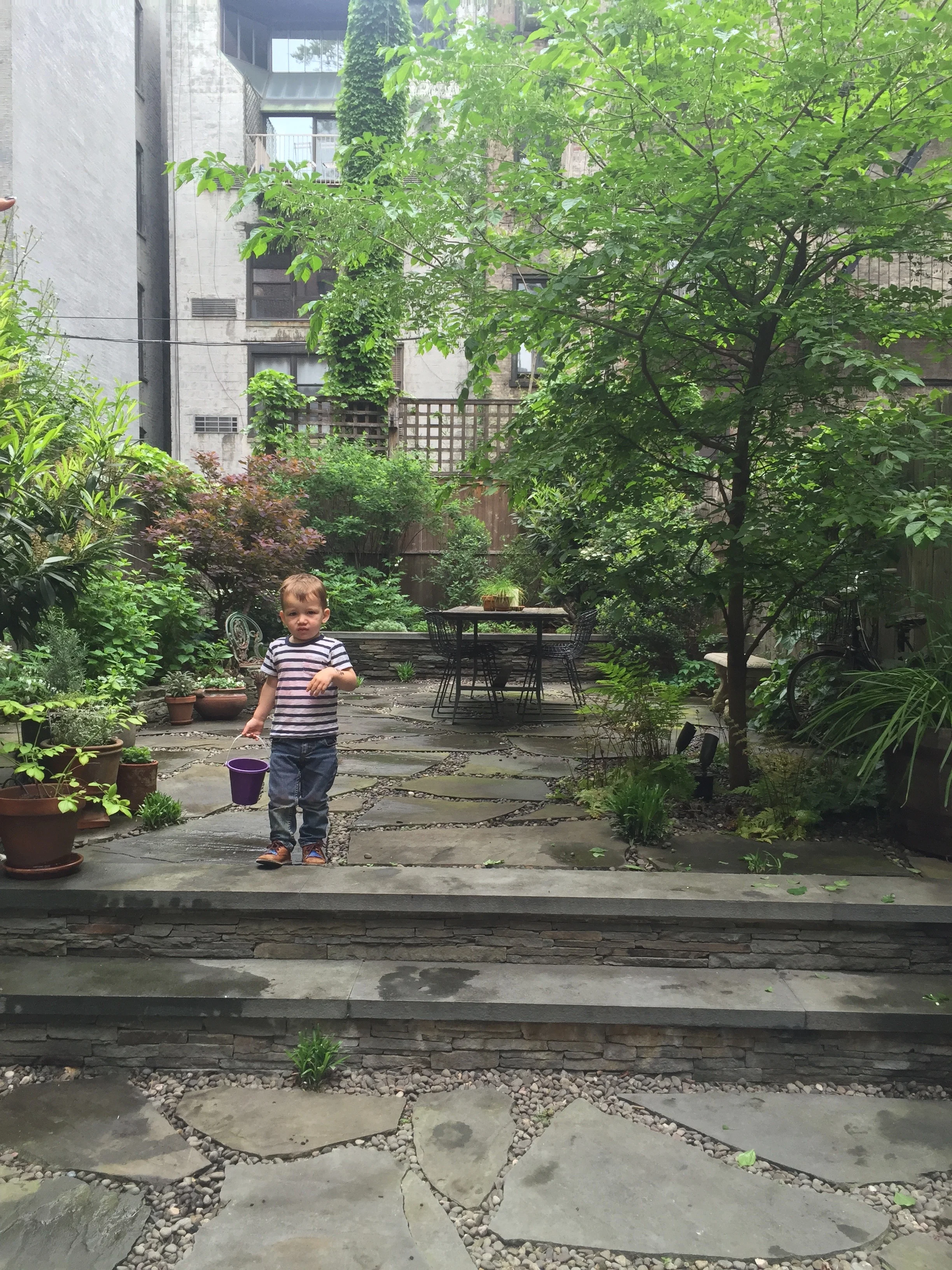 Brook Landscape Gardens Chelsea 23rd