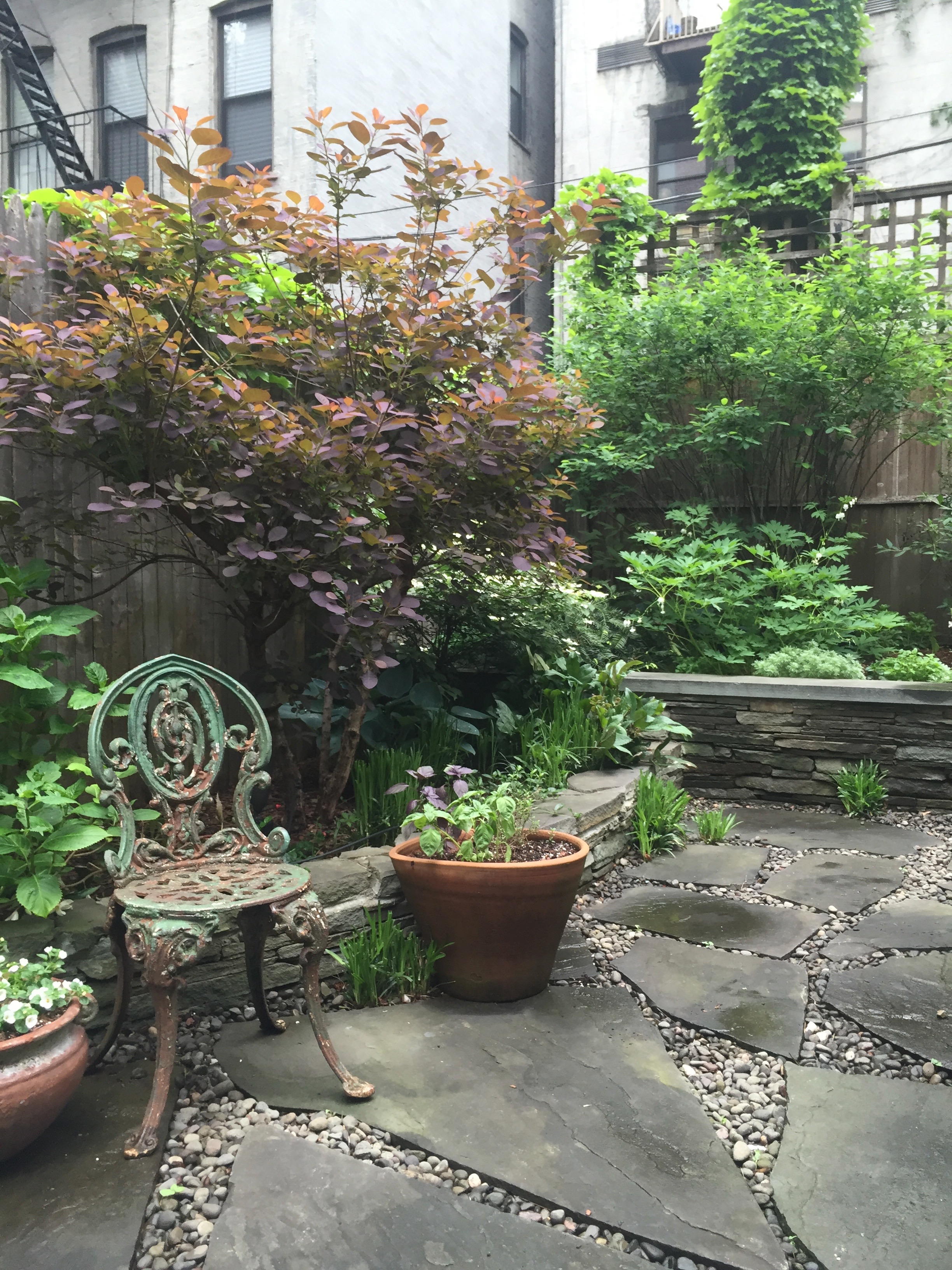 Brook Landscape Gardens Chelsea 23rd