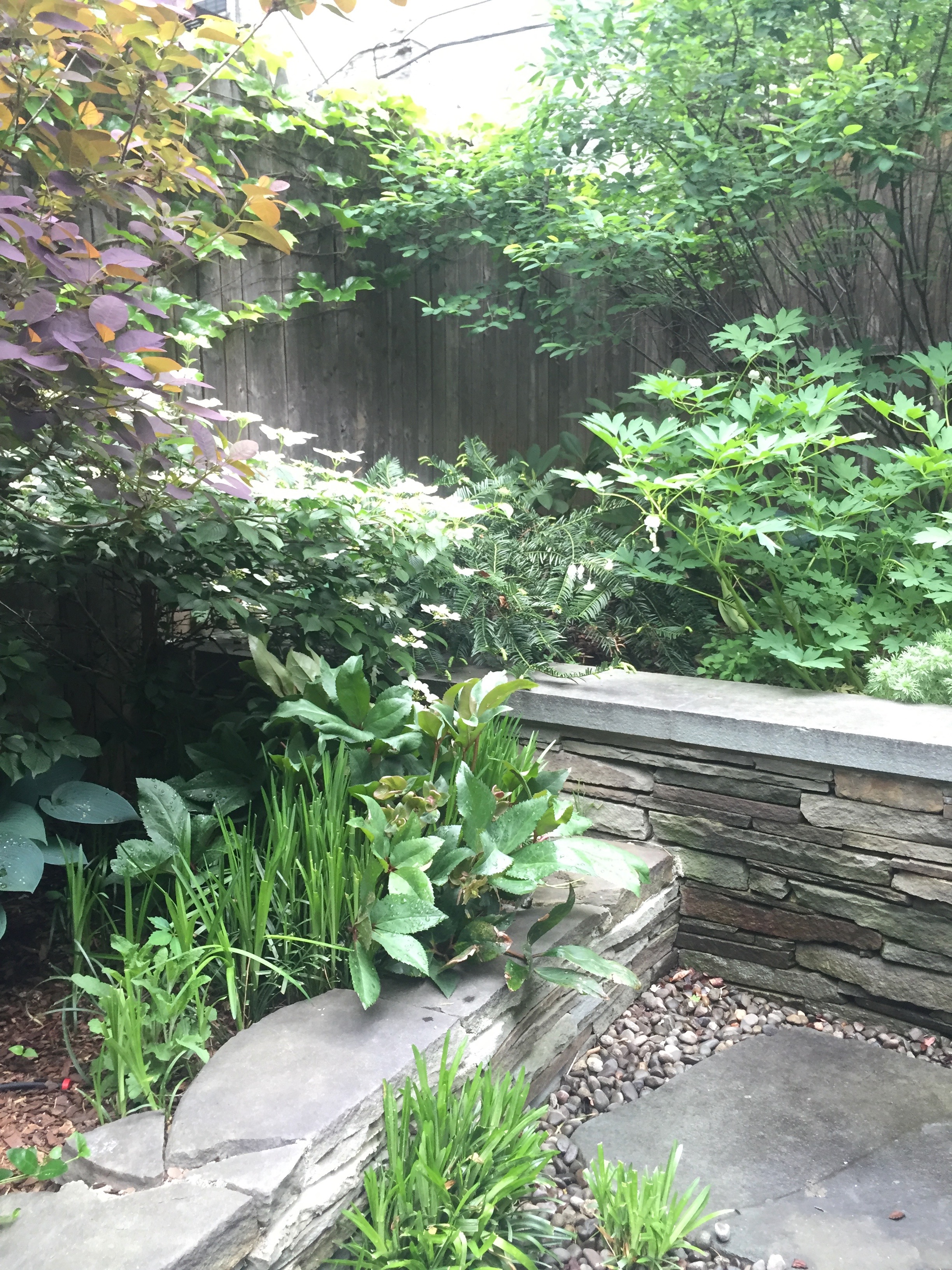 Brook Landscape Gardens Chelsea 23rd