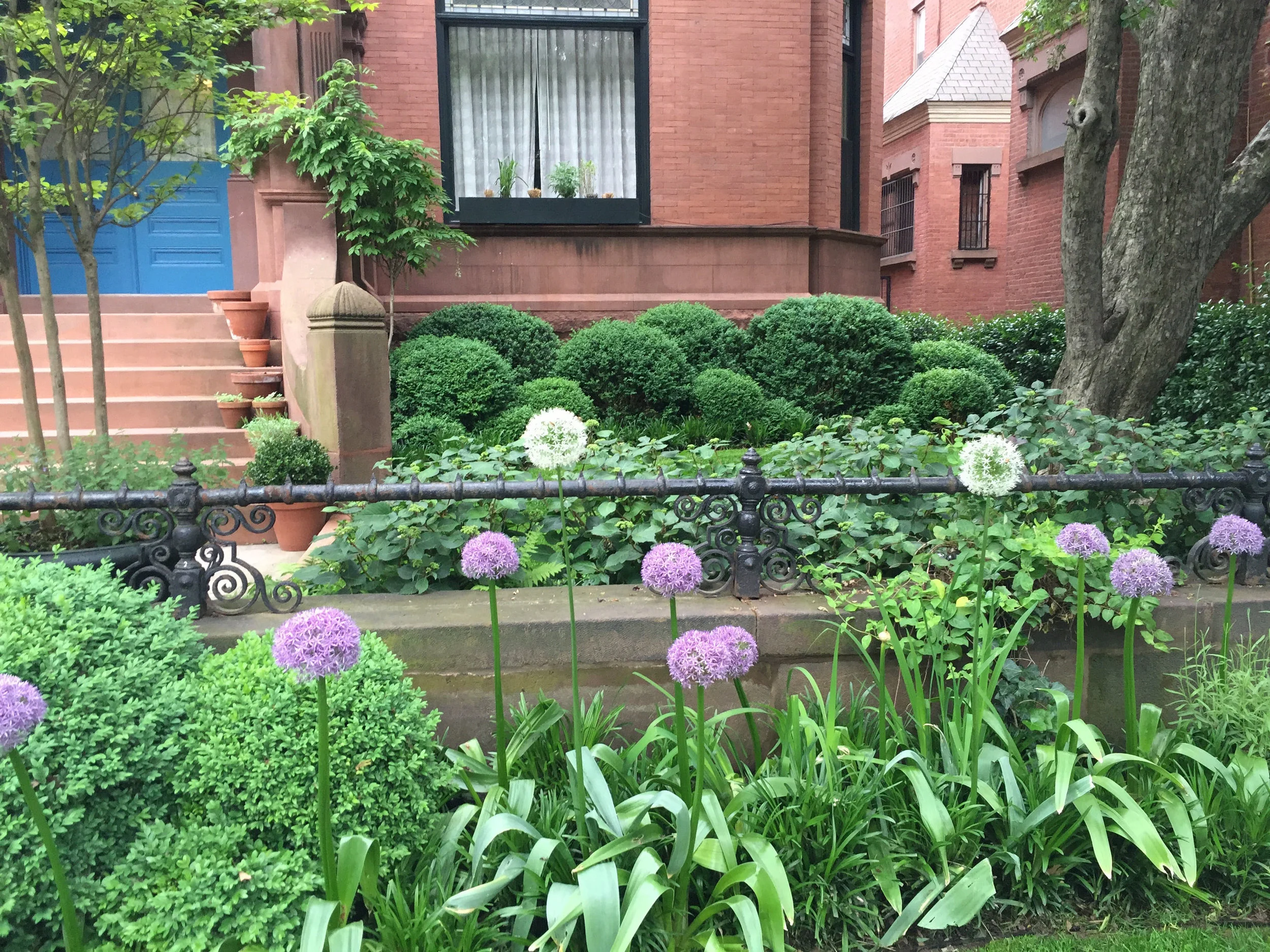 Brook Landscape Gardens Brooklyn Resident