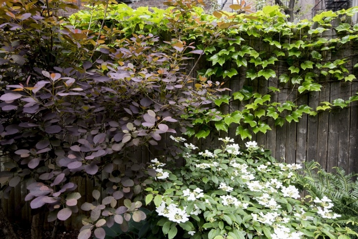 Prune boldly