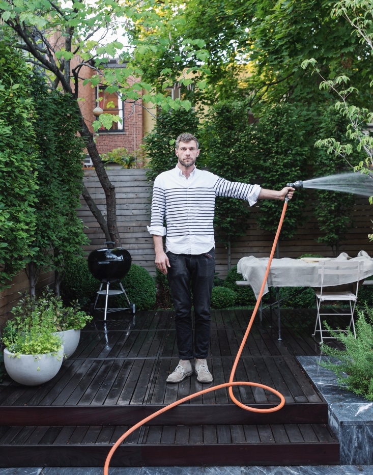 Use grass for hedges