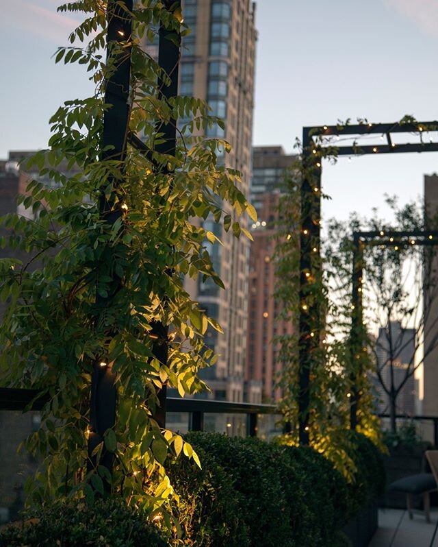 Amazing how a few plants and lights strategically placed can completely change the mood⠀⠀⠀⠀⠀⠀⠀⠀⠀
.⠀⠀⠀⠀⠀⠀⠀⠀⠀
.⠀⠀⠀⠀⠀⠀⠀⠀⠀
.⠀⠀⠀⠀⠀⠀⠀⠀⠀
.⠀⠀⠀⠀⠀⠀⠀⠀⠀
.⠀⠀⠀⠀⠀⠀⠀⠀⠀
.⠀⠀⠀⠀⠀⠀⠀⠀⠀
.⠀⠀⠀⠀⠀⠀⠀⠀⠀
#landscapearchitecture #manhattanterrace #terracegardens #nycgardens #roofto