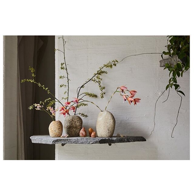 Stop by Williamsburg tomorrow for Valentine&rsquo;s day and check out our first retail interior.  @foxfodderfarm is the New York&rsquo;s first floral studio am that allows you to get creative and make your own arrangements.