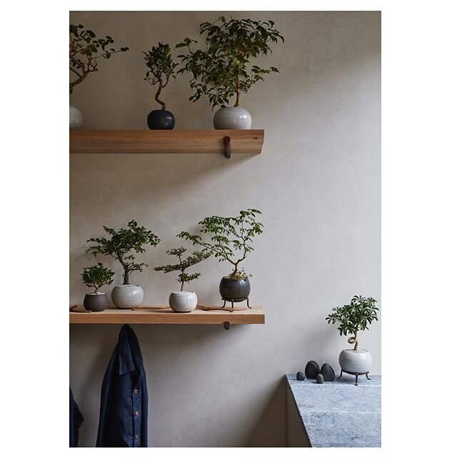 As a design firm we try to compliment every client sensibilities.  When working with Taylor Patterson of Fox Fodder Farm we wanted to make sure the arrangements and objects did most the talking.  To keep it open and &ldquo;non&rdquo; competitive.