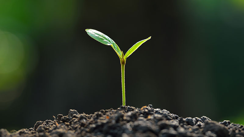 Is the downturn in total donor dollars to EDU an opportunity to refocus on planned giving?