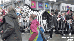 giphy (9).gif
