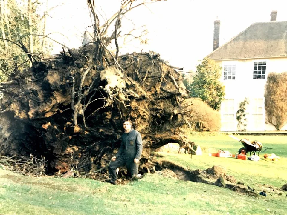 About Us | Down to Earth Trees Ltd
