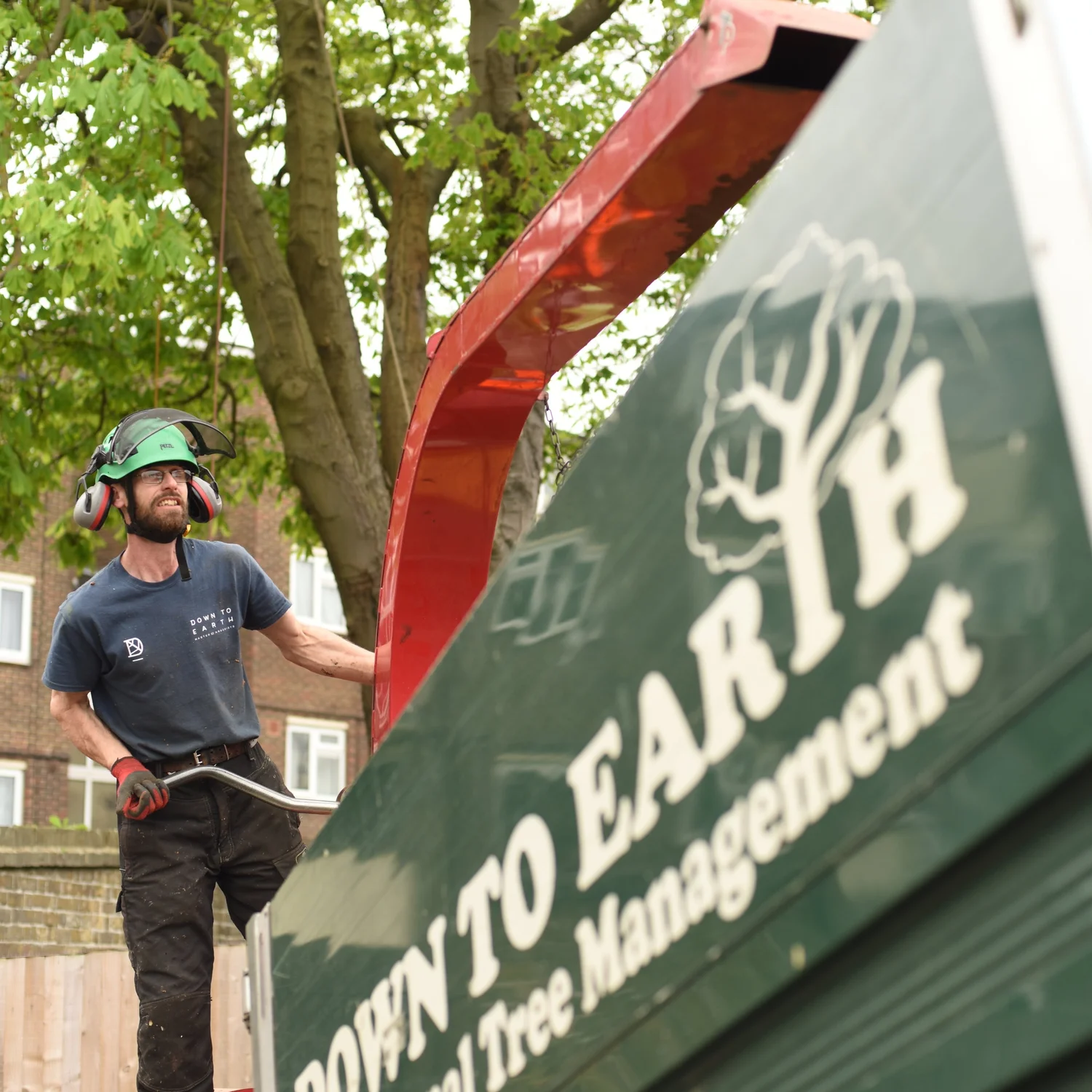 Team Members | Down to Earth Trees Ltd