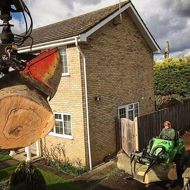 We had the big kit out in Bexley today carrying out tree removal works in a residential rear garden. Sadly, the decision was taken to remove the mature Common beech due to advancing basal decay on obvious grounds of H&amp;S.

David carried out the te