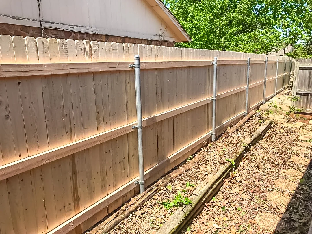 Spruce Privacy Fence
