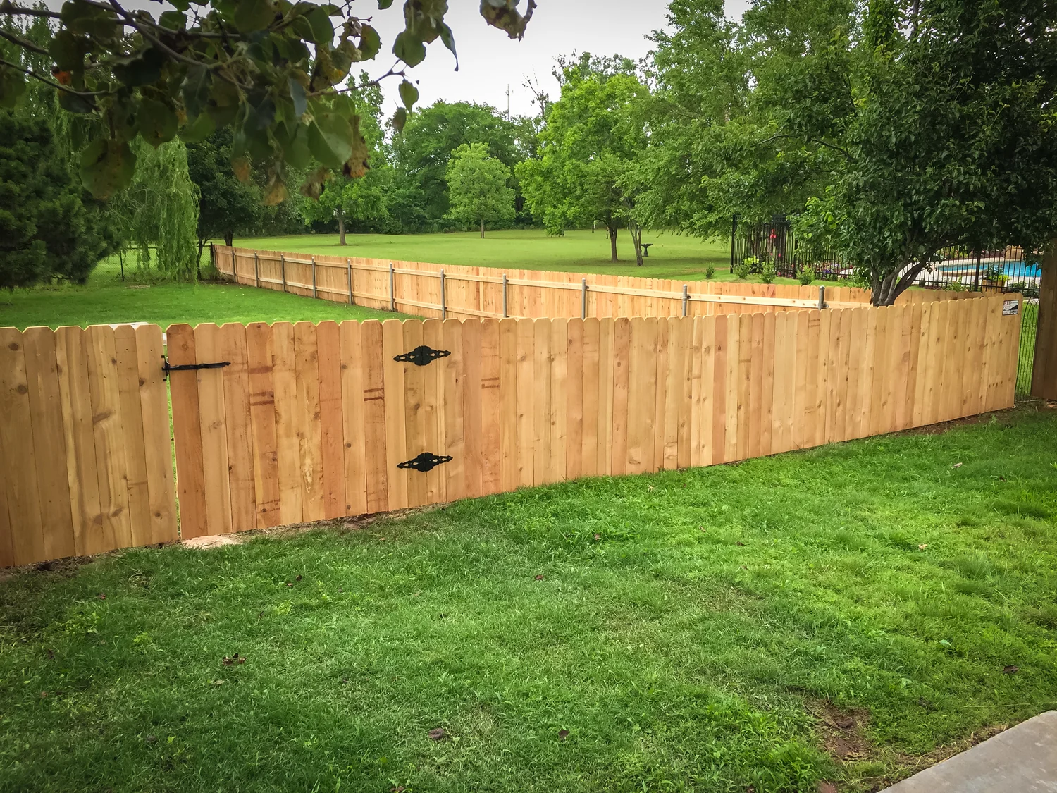 Cedar Fence