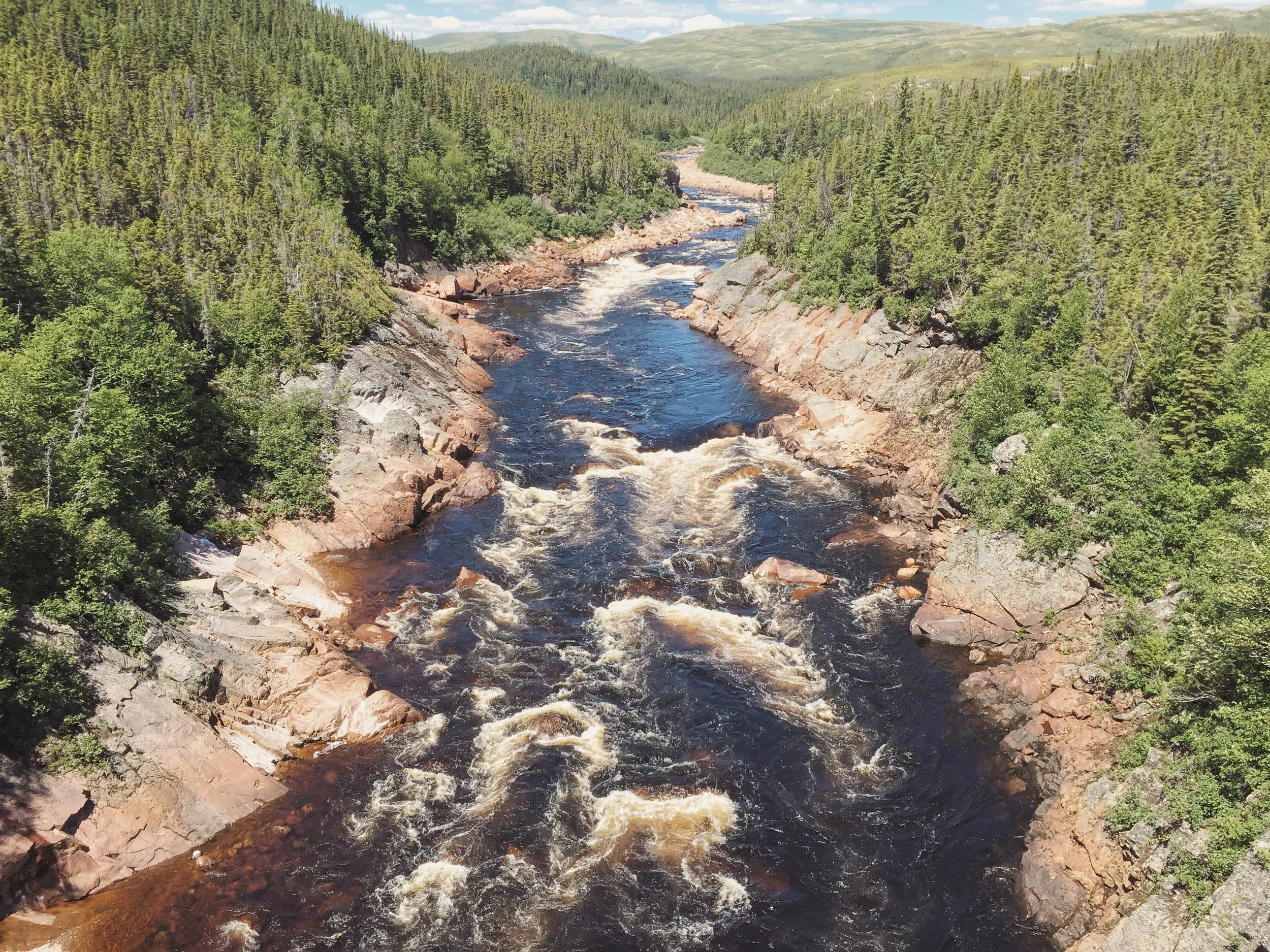 Newfoundland and Labrador 