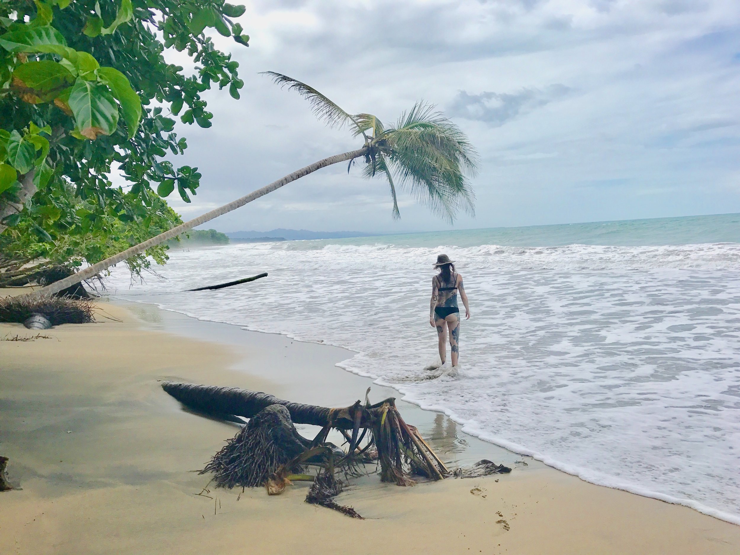 Costa Rica- Arenal & Puerto Viergo, March 2017