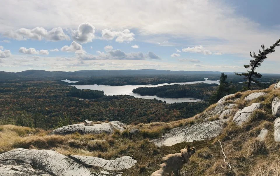 LaCloche Silhouette-October 2nd-9th 2017