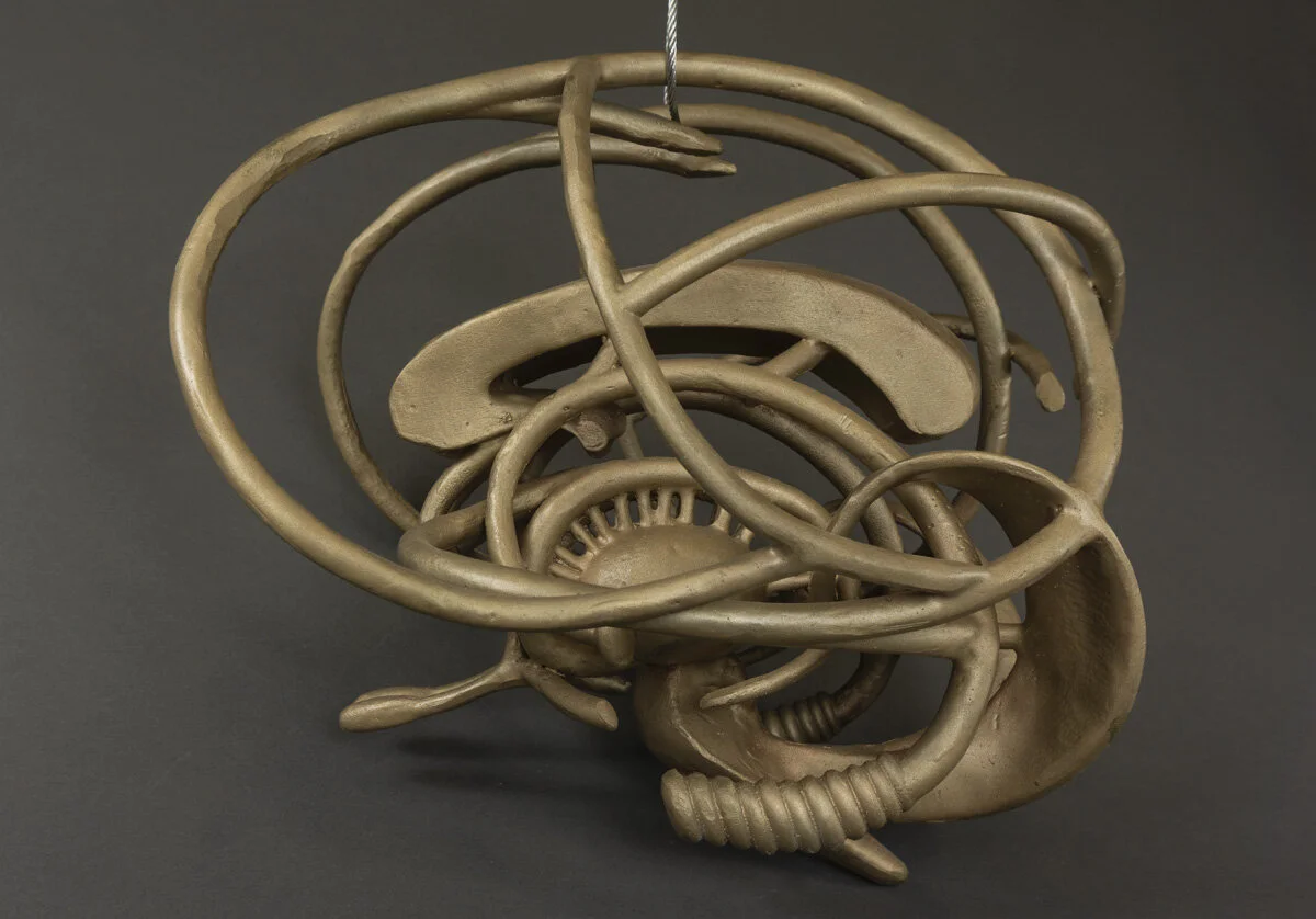 5_Adams_Major Depressive Disorder.jpg