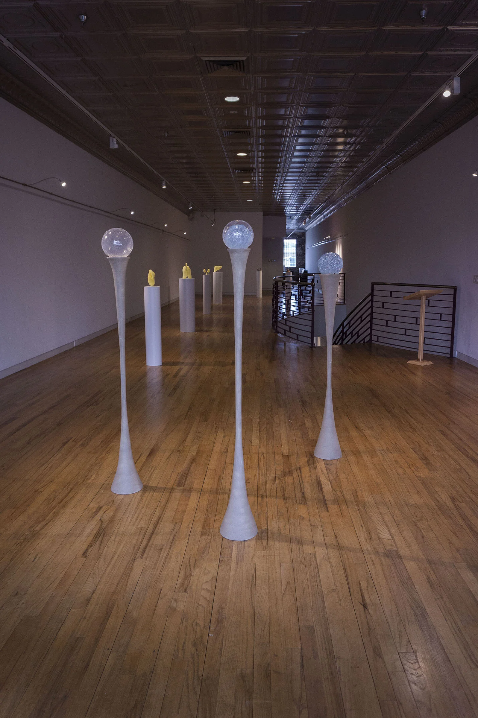 Bulbs of Dream and Dread exhibition