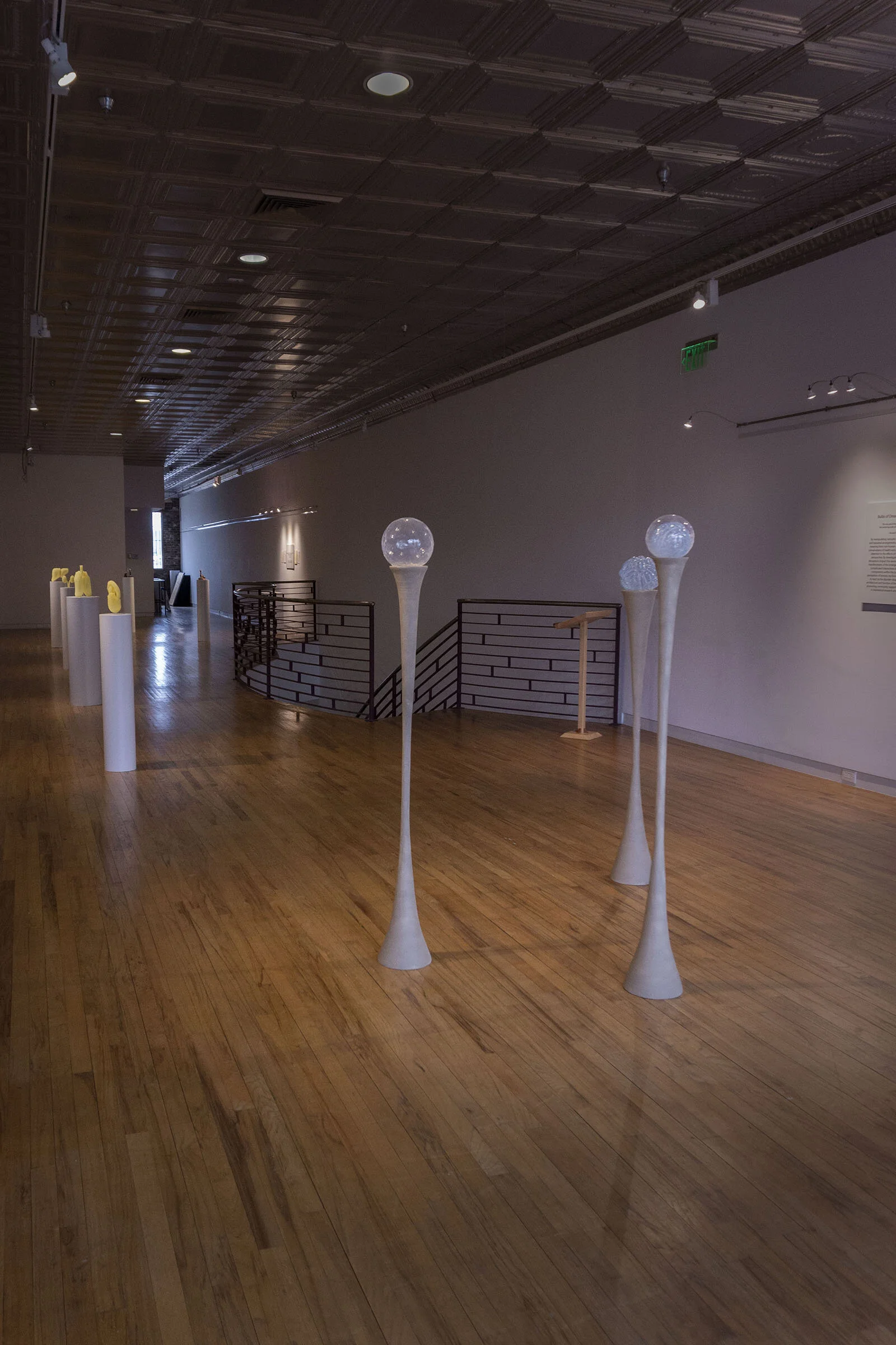 Bulbs of Dream and Dread