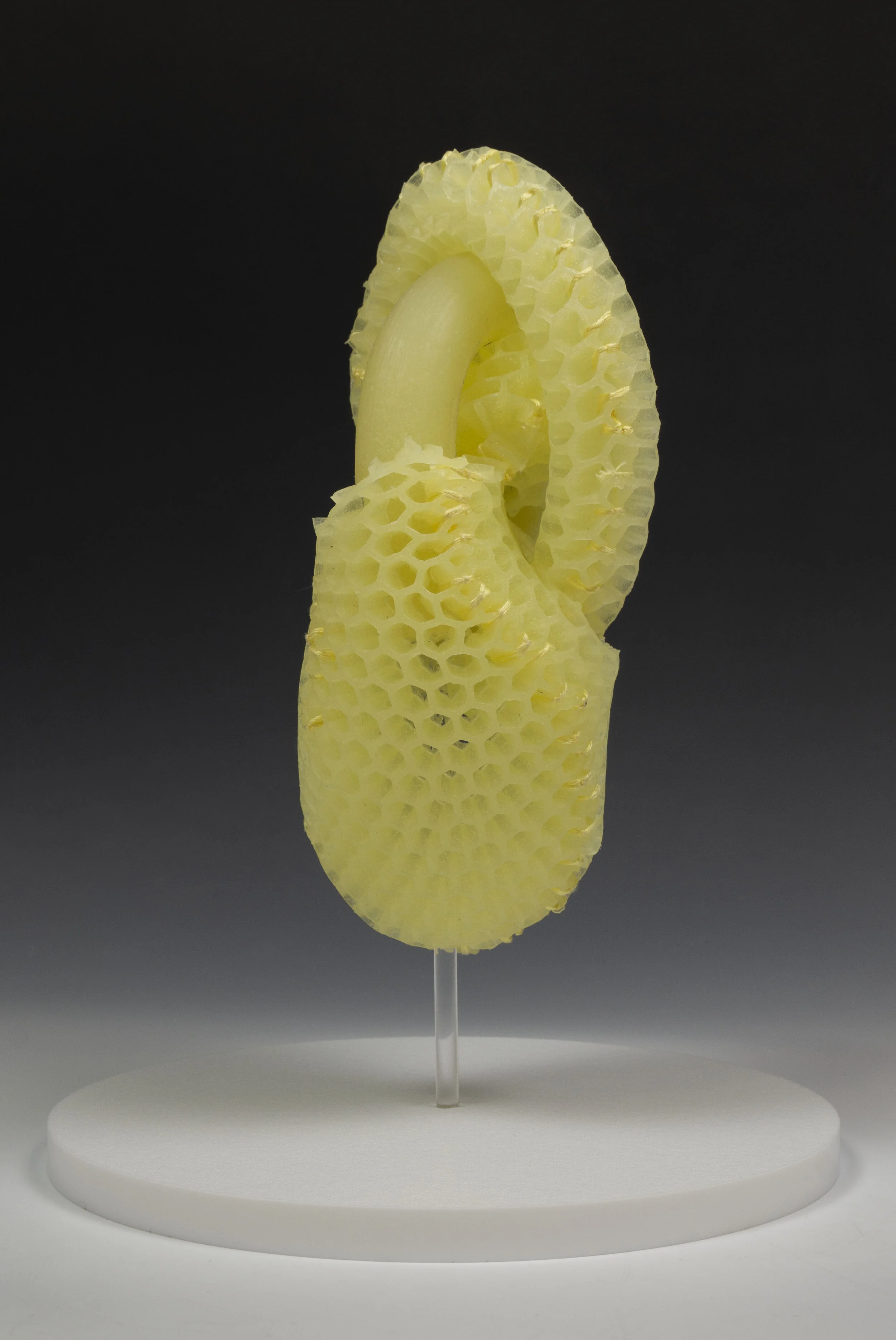 Biomimetic Reservoir (Heart) 2.jpg