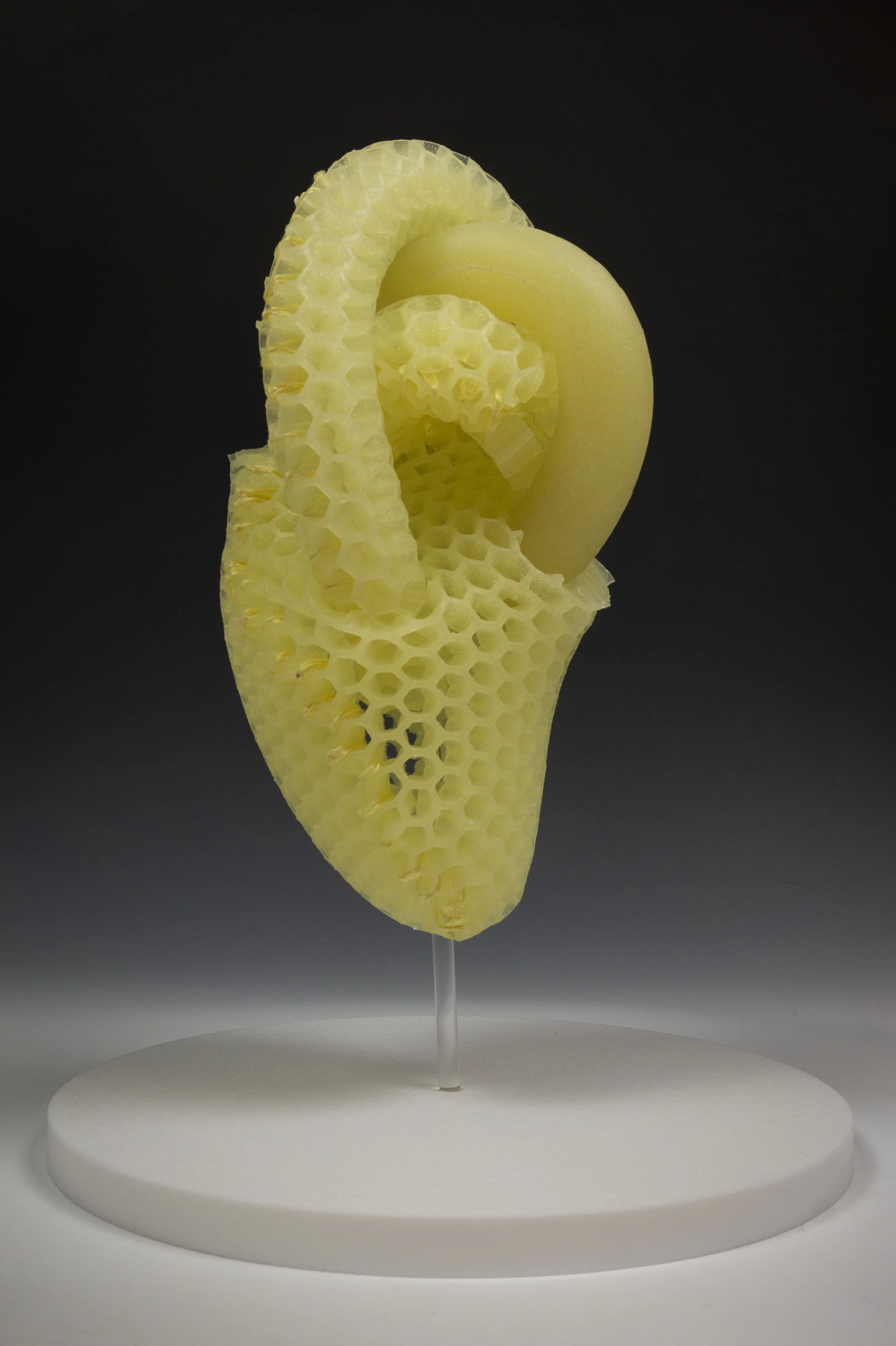 Biomimetic Reservoir (Heart) 4.jpg