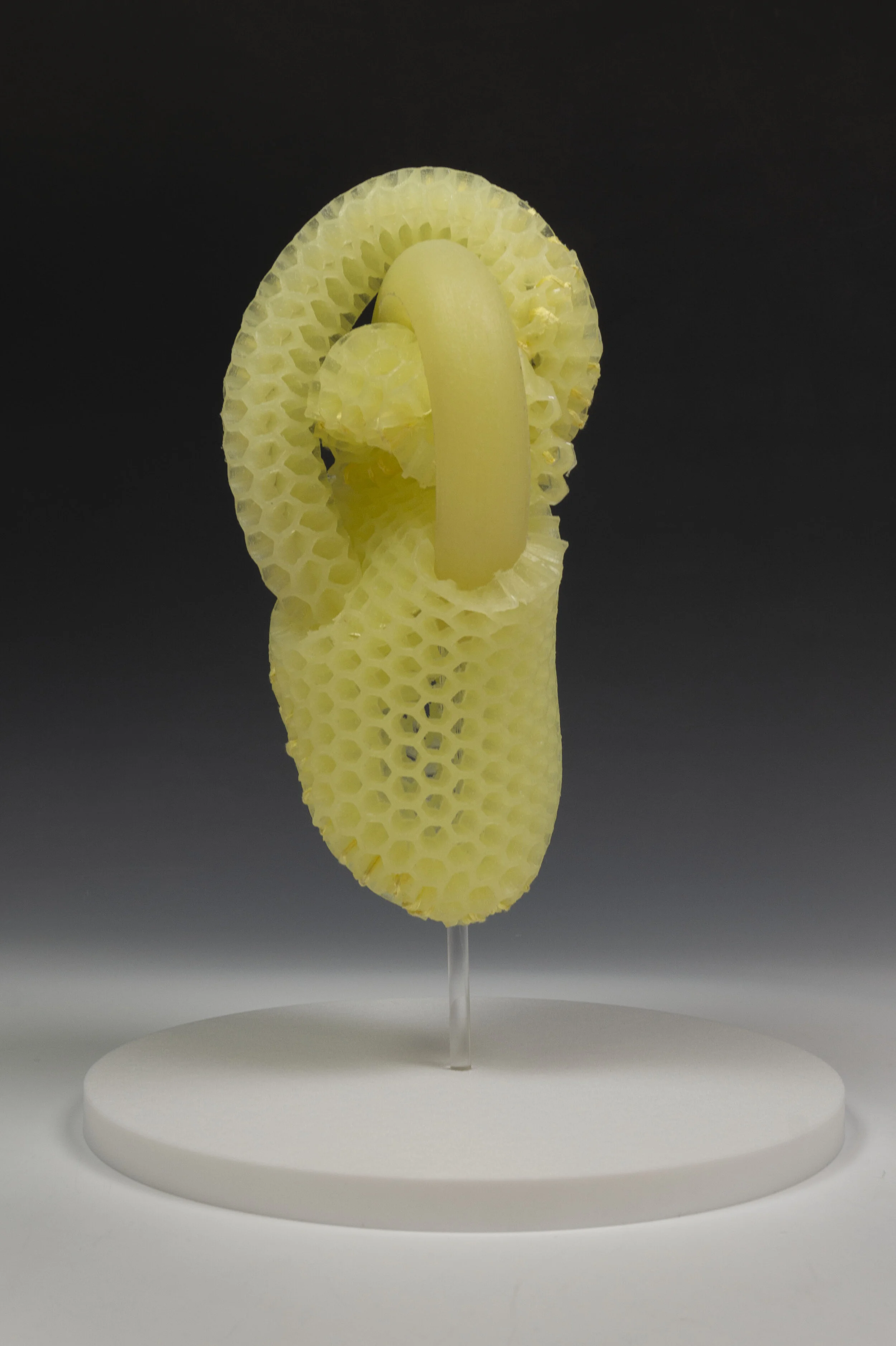 Biomimetic Reservoir (Heart) 5.jpg