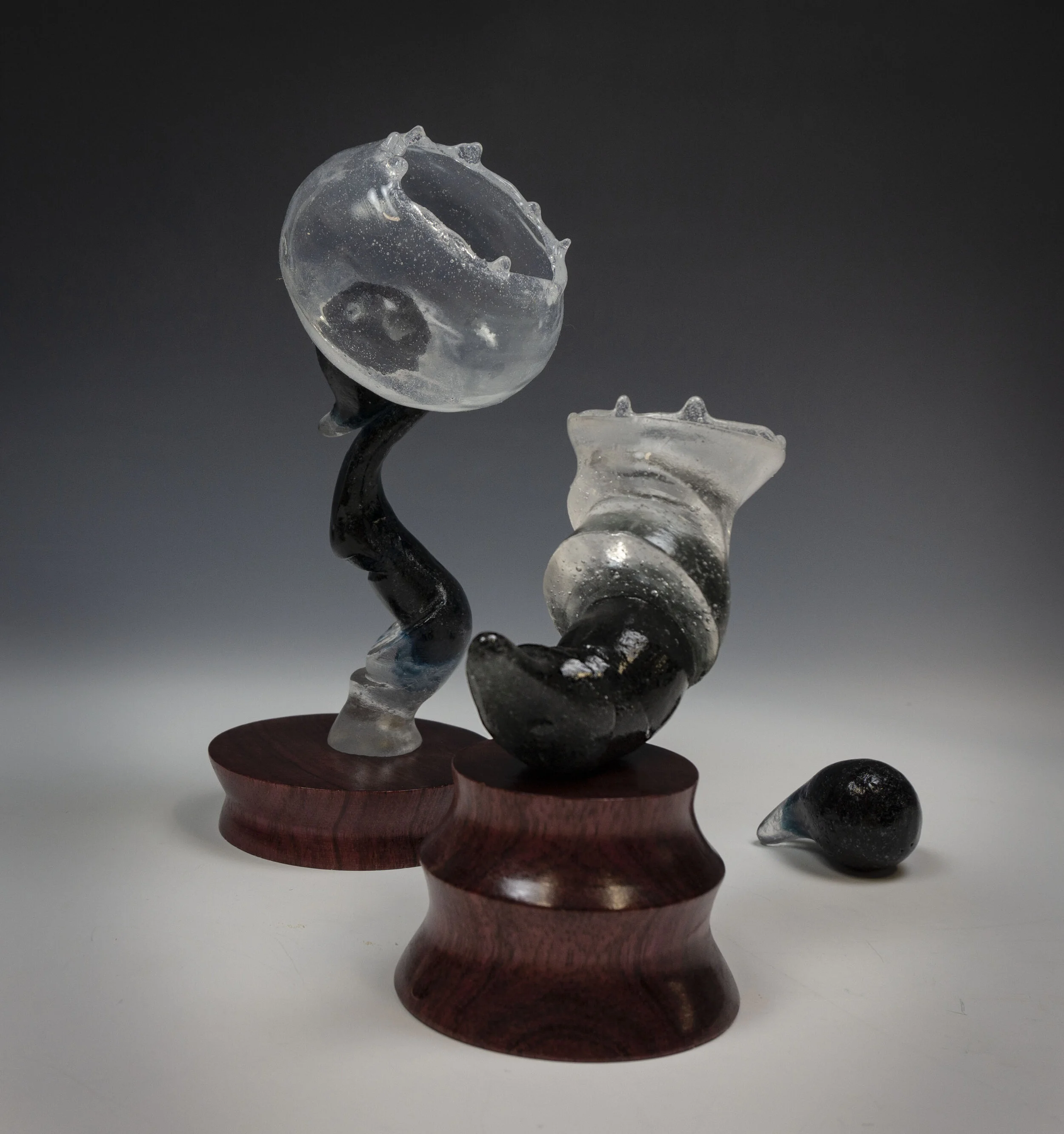 Systemic Biomorphism 2 (3).jpg