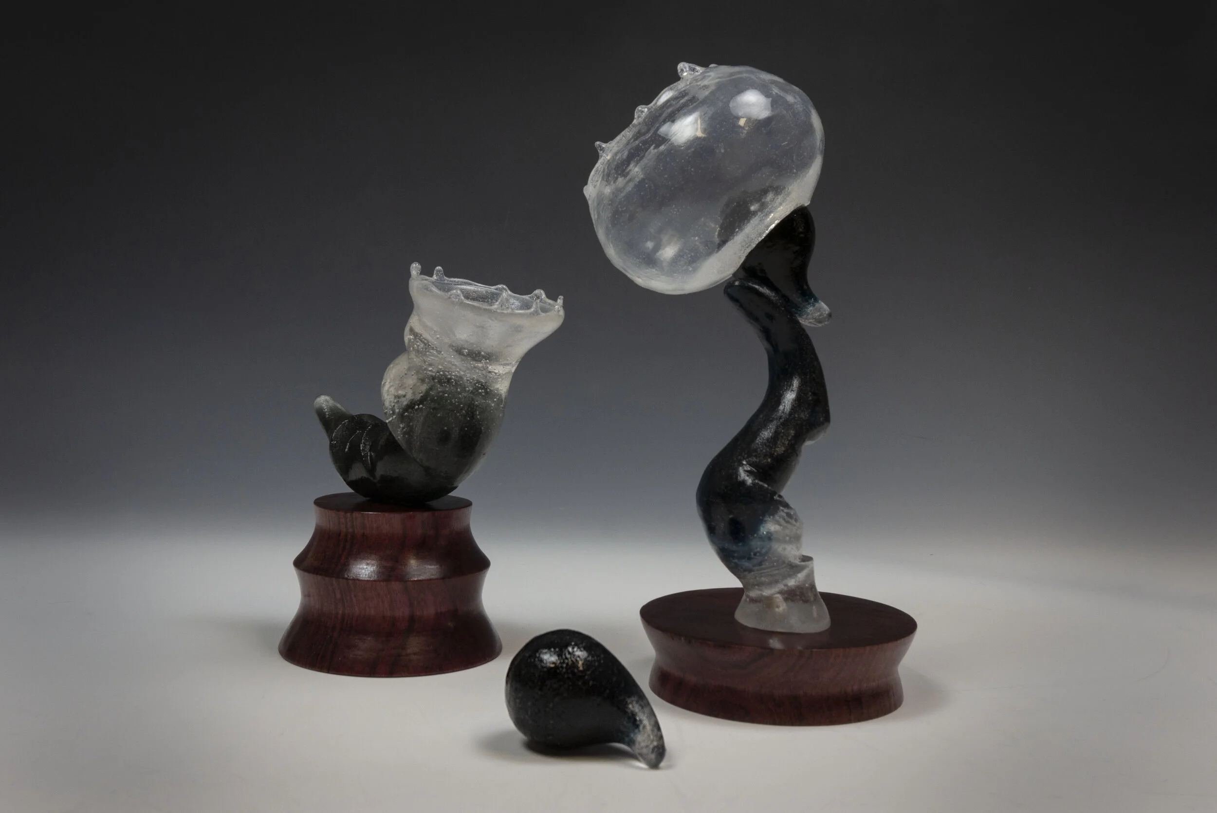 Systemic Biomorphism 2 (4).jpg