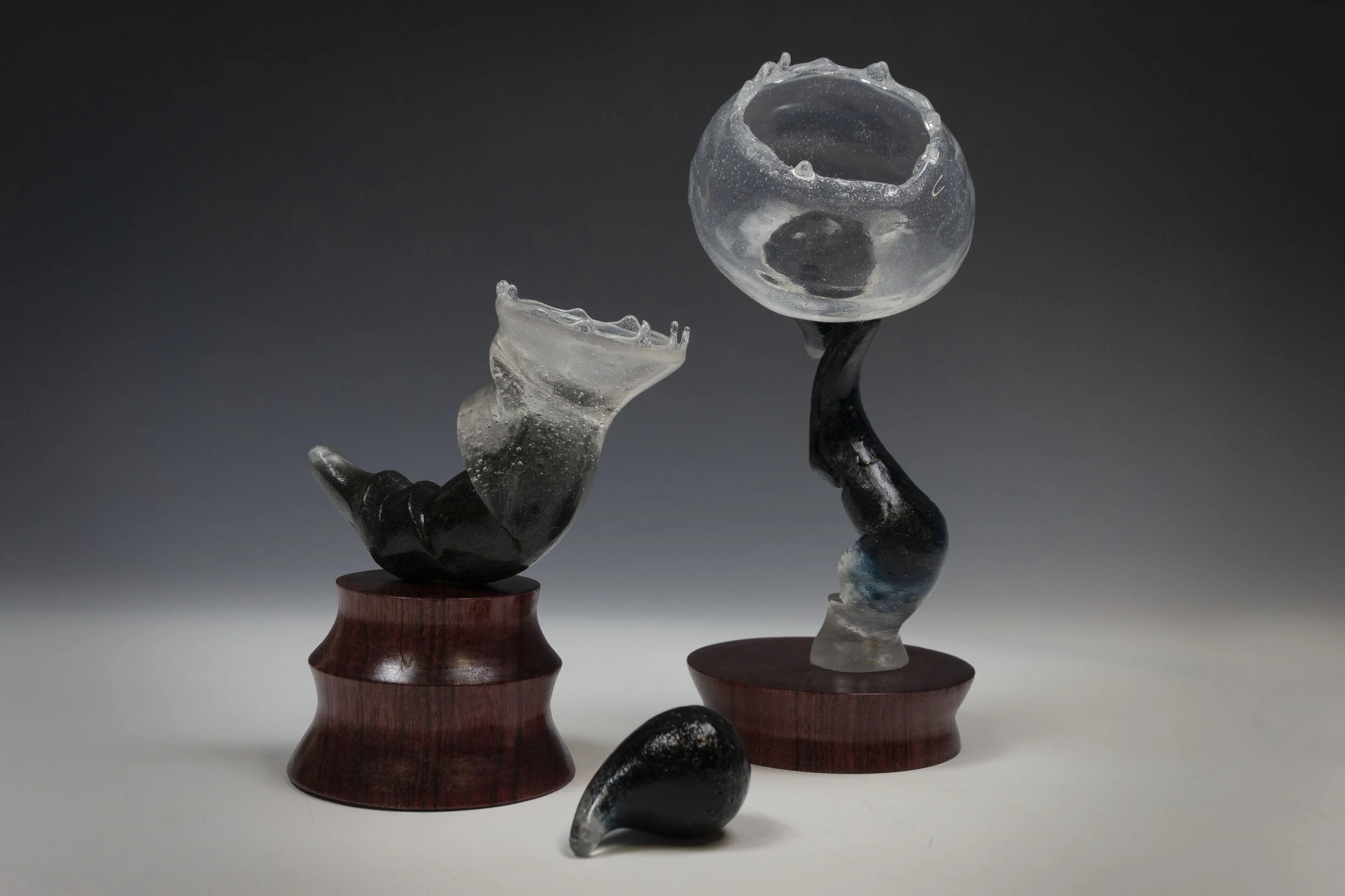 Systemic Biomorphism 2 (6).jpg