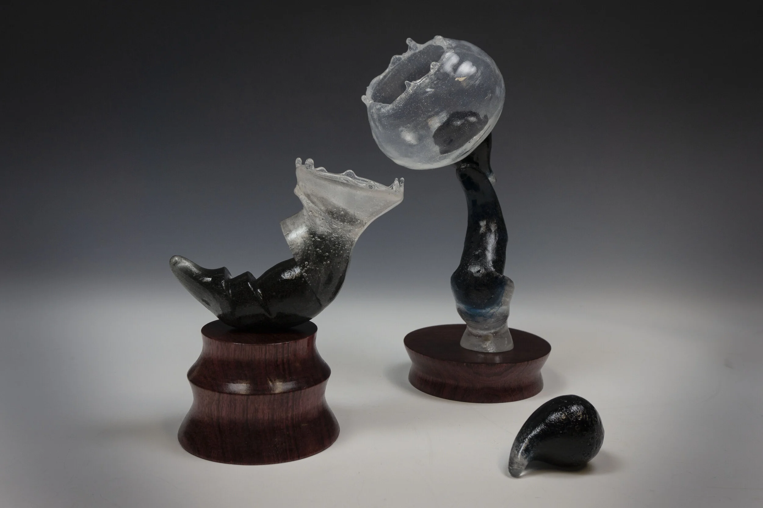 Systemic Biomorphism 2 (7).jpg