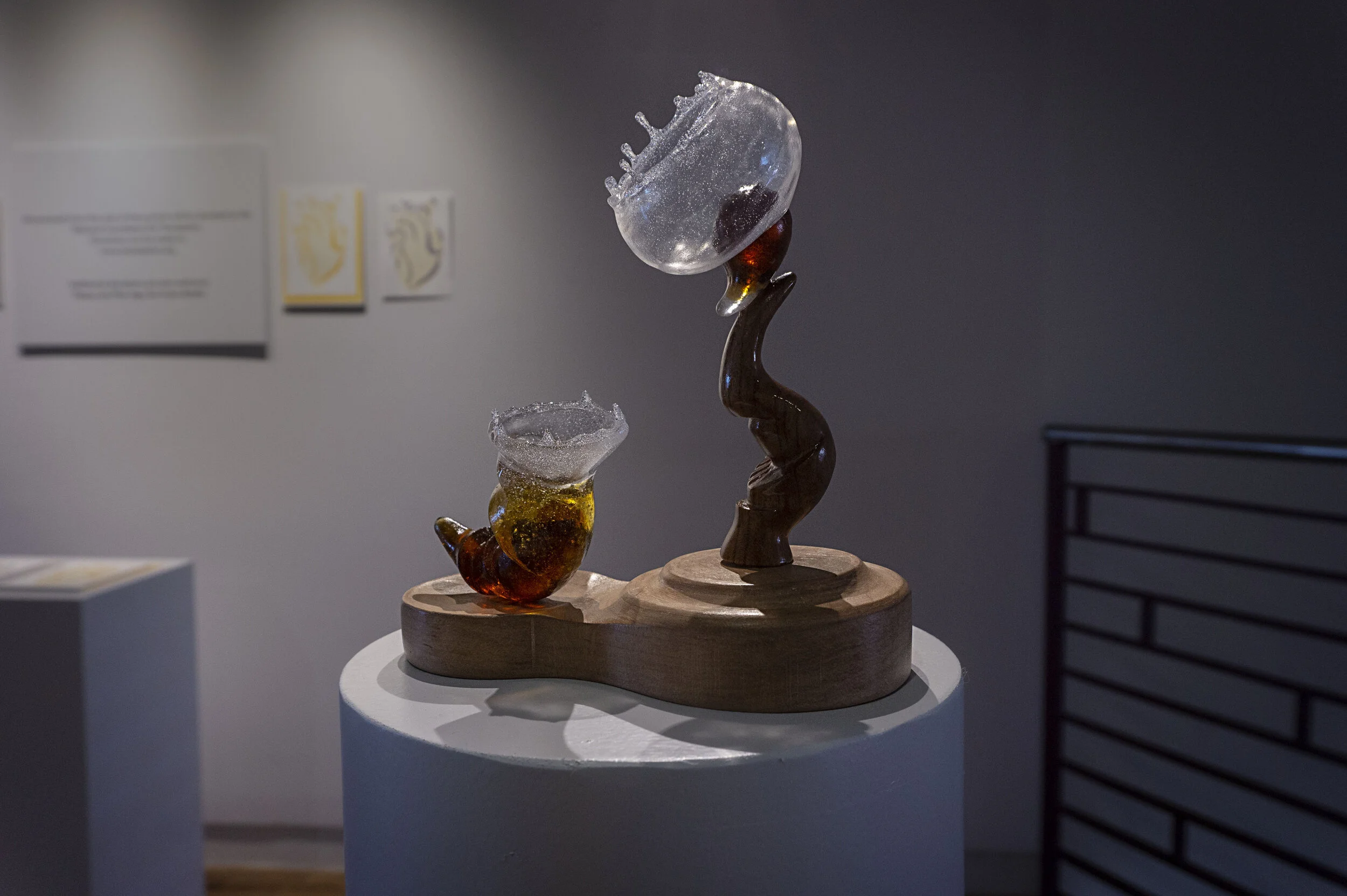 Systemic Biomorphism 1 (1).jpg