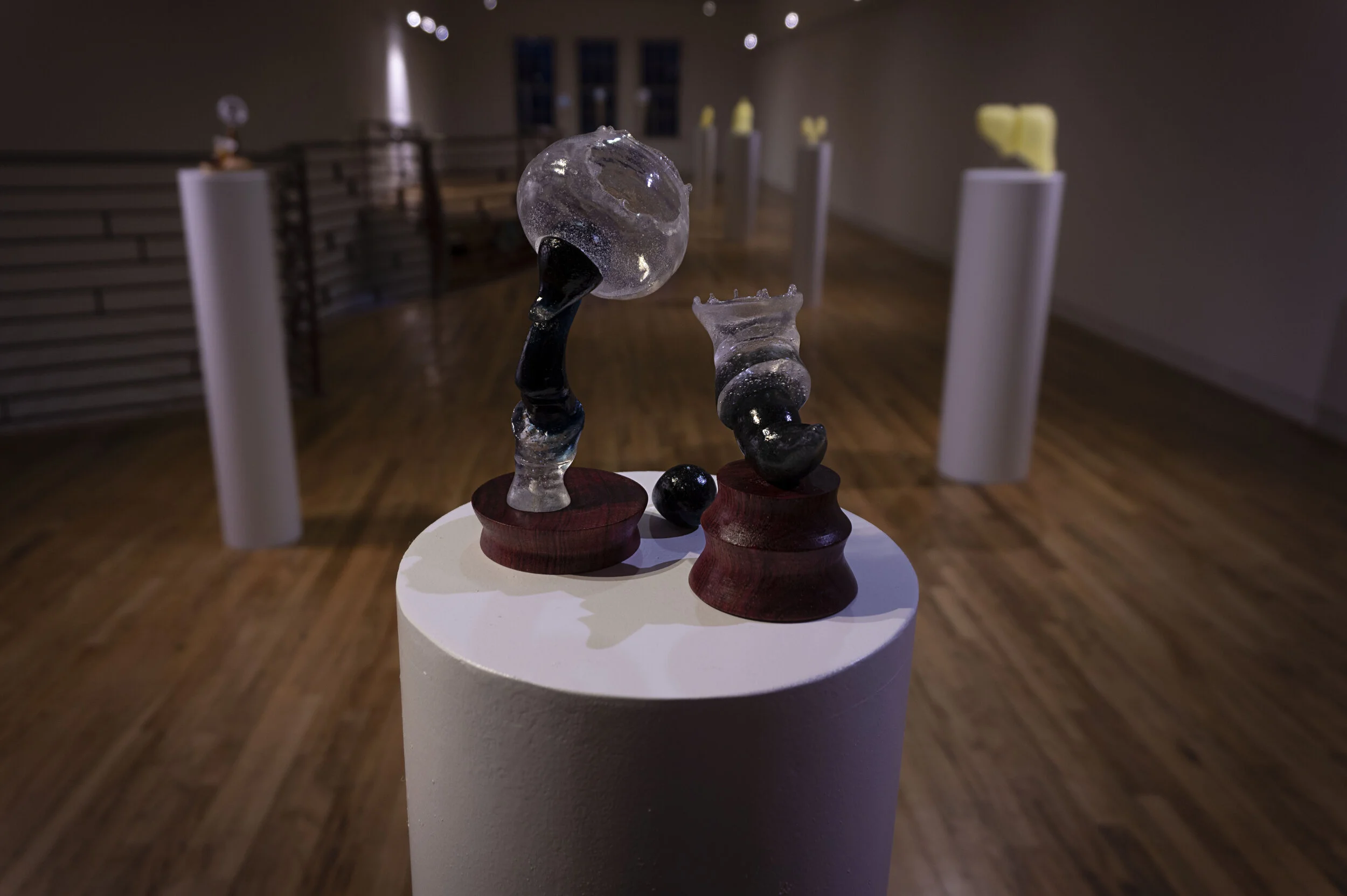 Systemic Biomorphism 2 (1).jpg