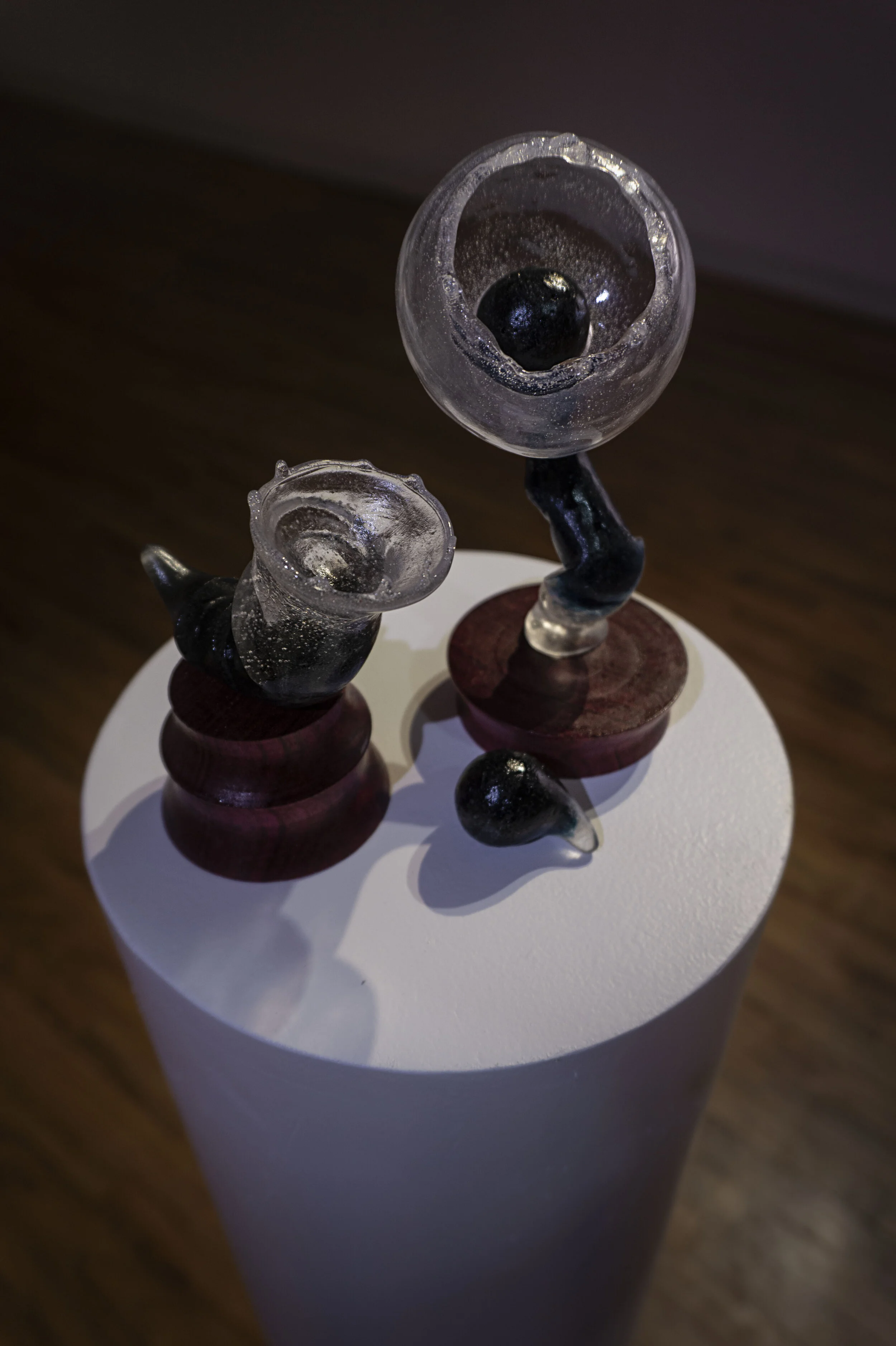 Systemic Biomorphism 2 (2).jpg