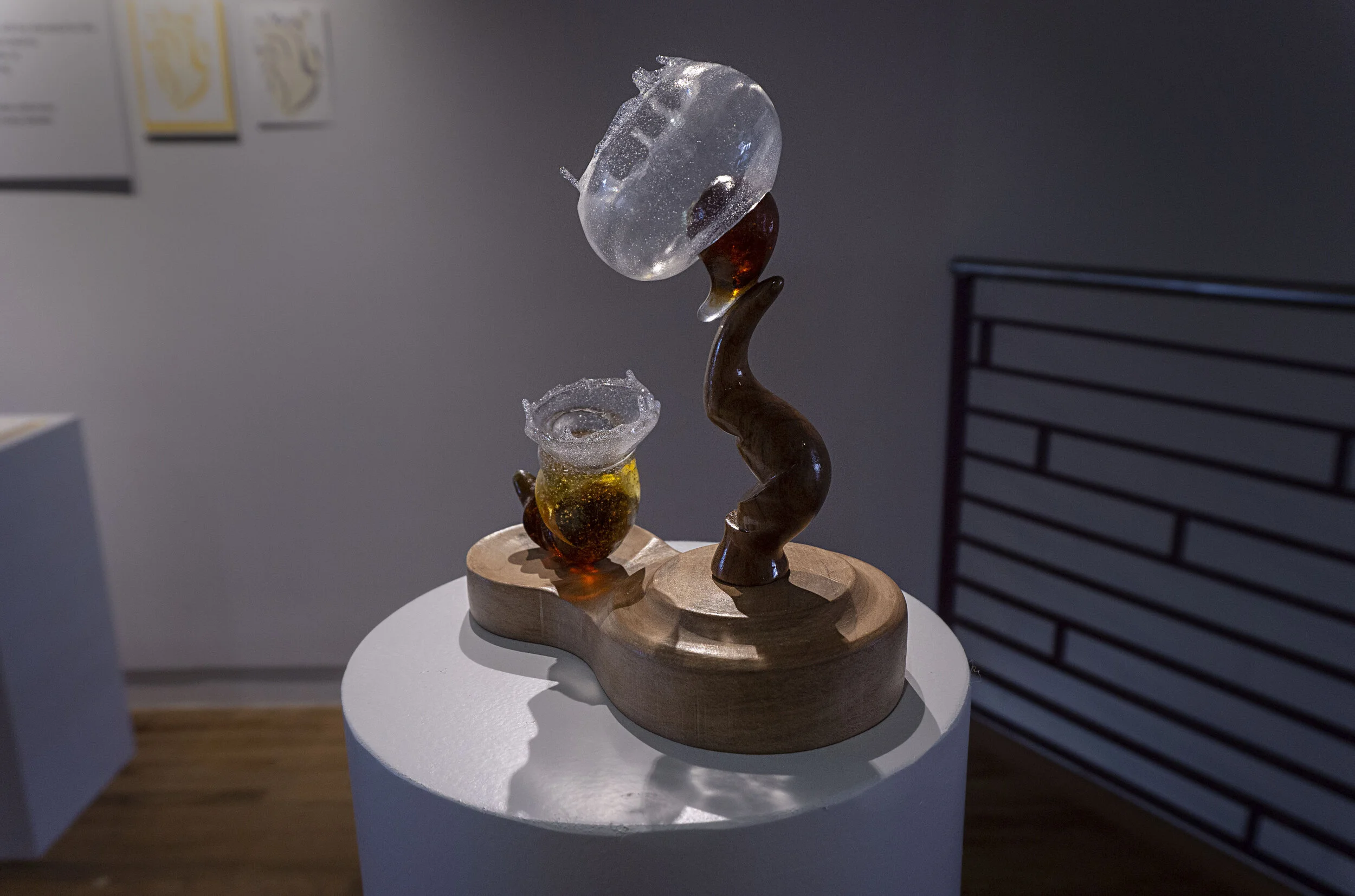 Systemic Biomorphism 1 (2).jpg