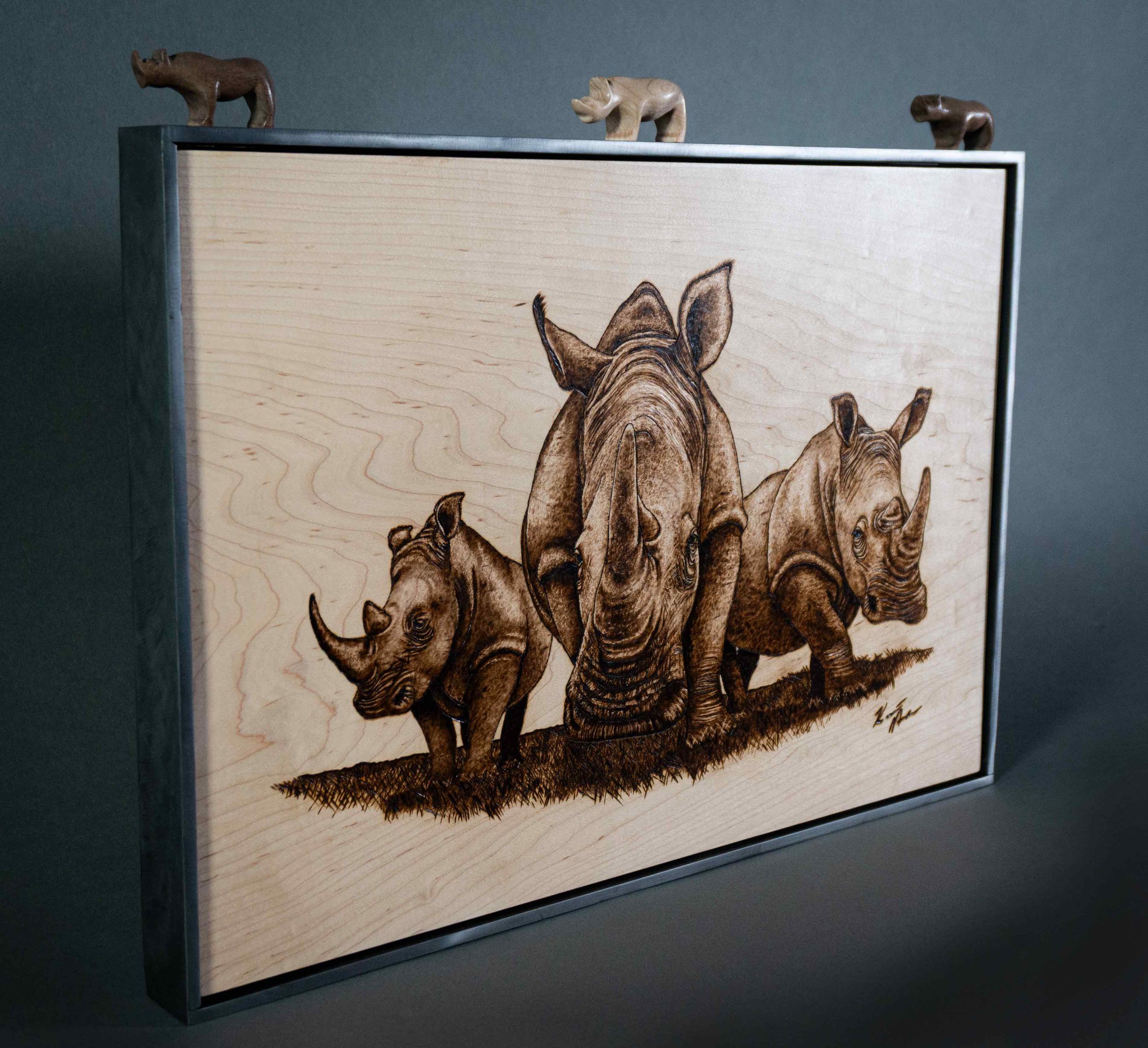 TheCrash_Adams_3_HelpingRhinos.jpg