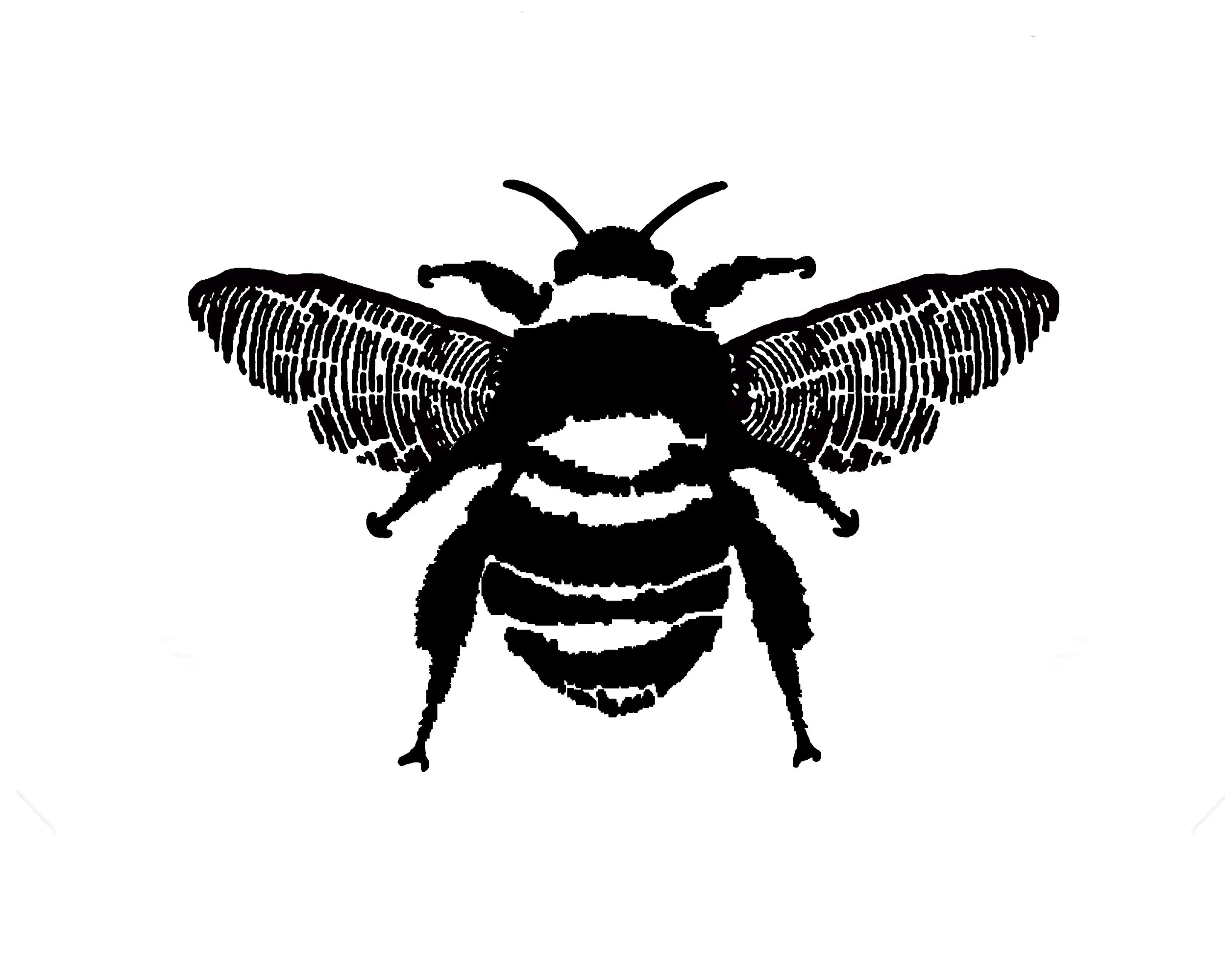 Bee Logo Final wo Text.jpg