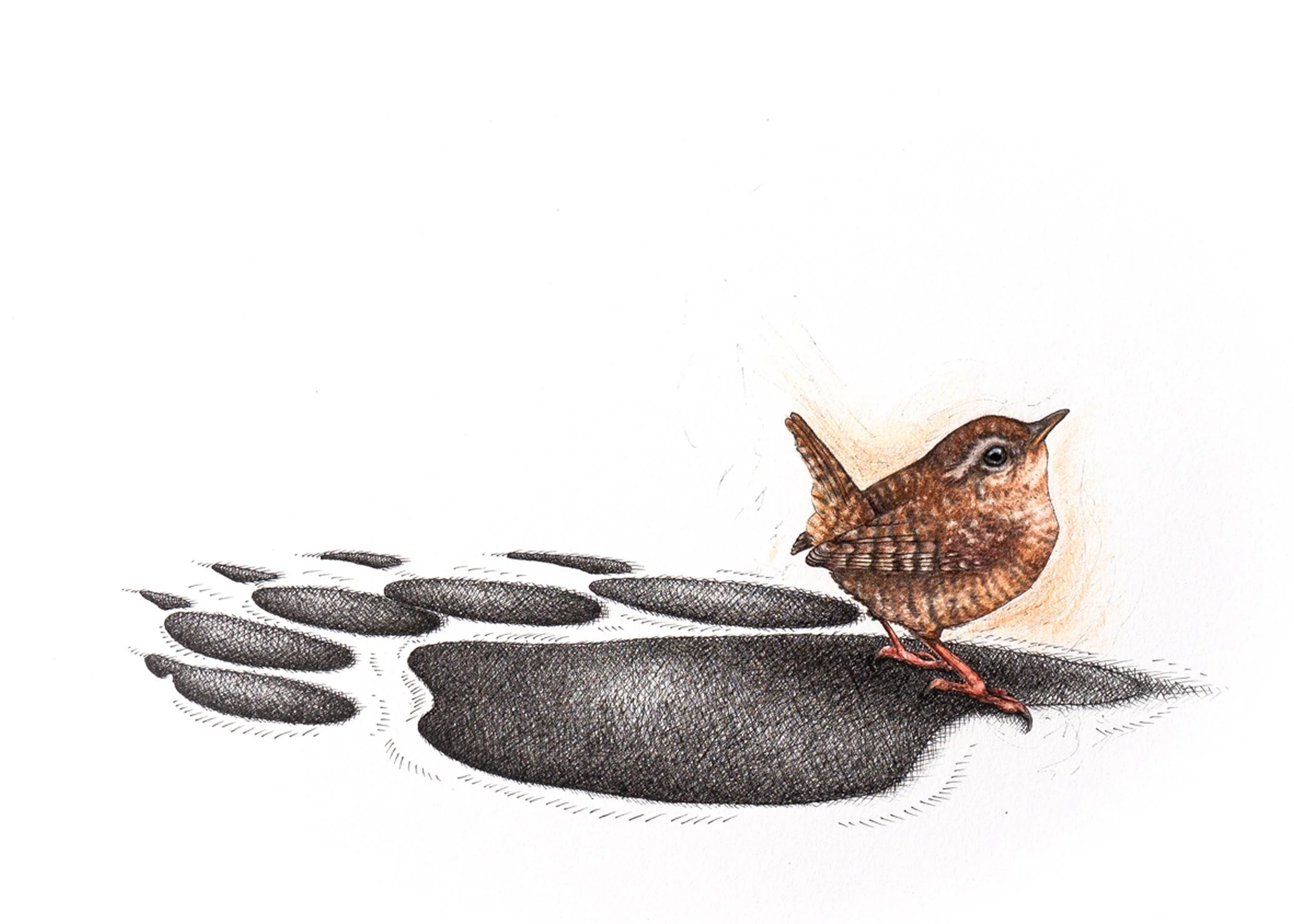 Shadows_Print 5x7.jpg