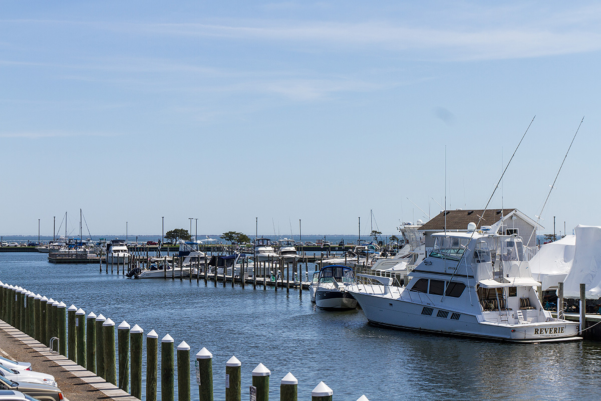 whalers_summer18-1814.jpg