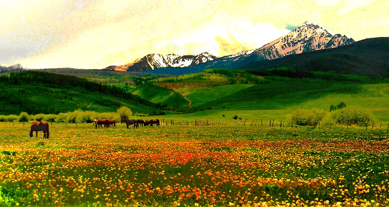copyright 2009 ZBluz Imagiz Blue River Valley & Eagle Nest Wilderness Peaks Colorado Rocky Mountains.jpg