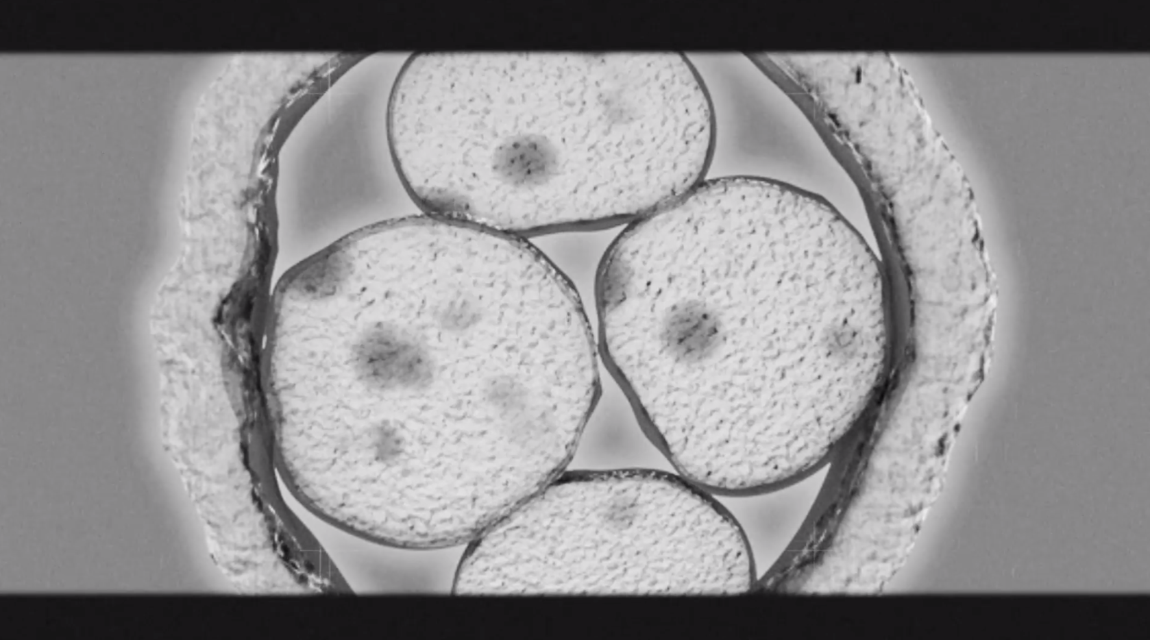 Screenshot 2019-03-16 at 12.41.47.png