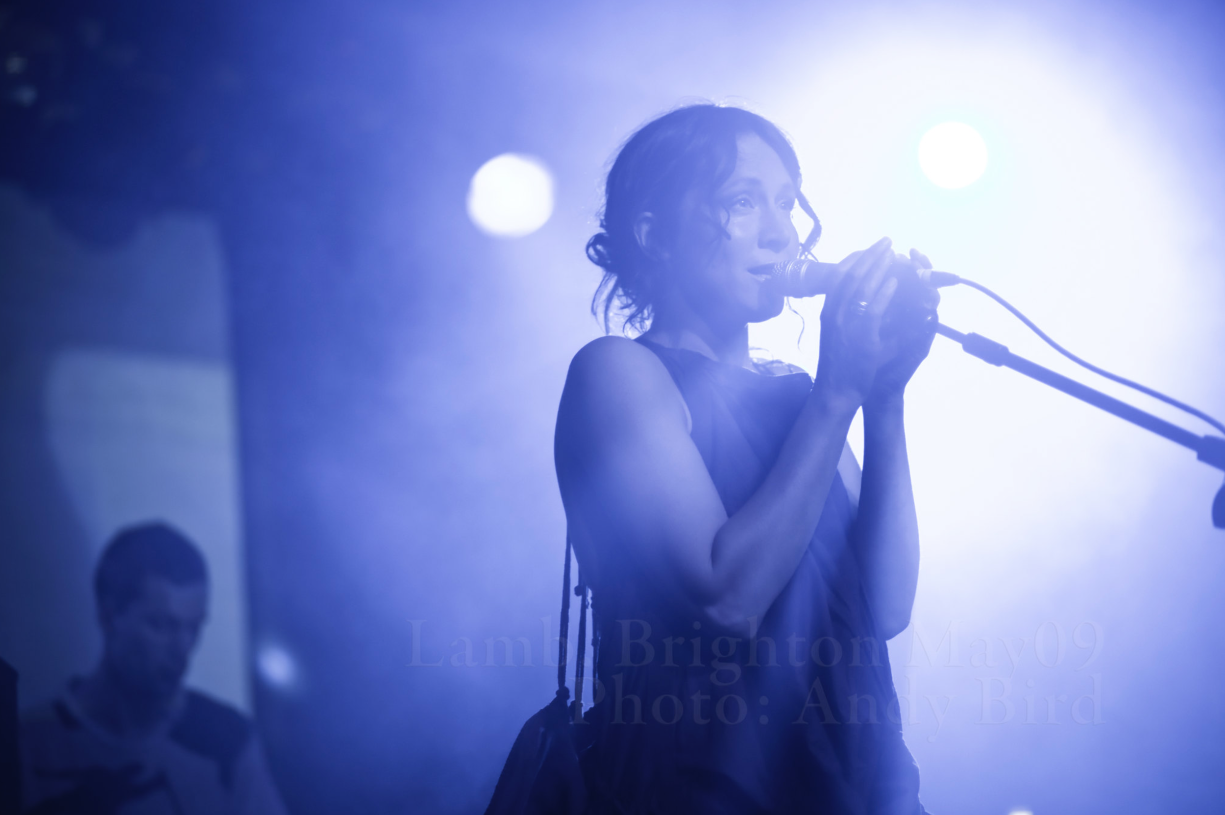 bird_photoarchive at 10.52.49.png